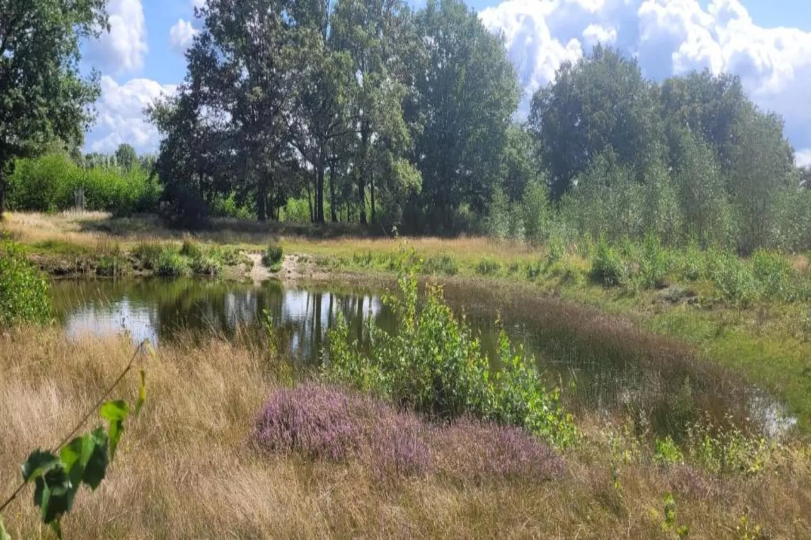 Vakantiepark Sandberghe 10-Gebieden zomer 20km
