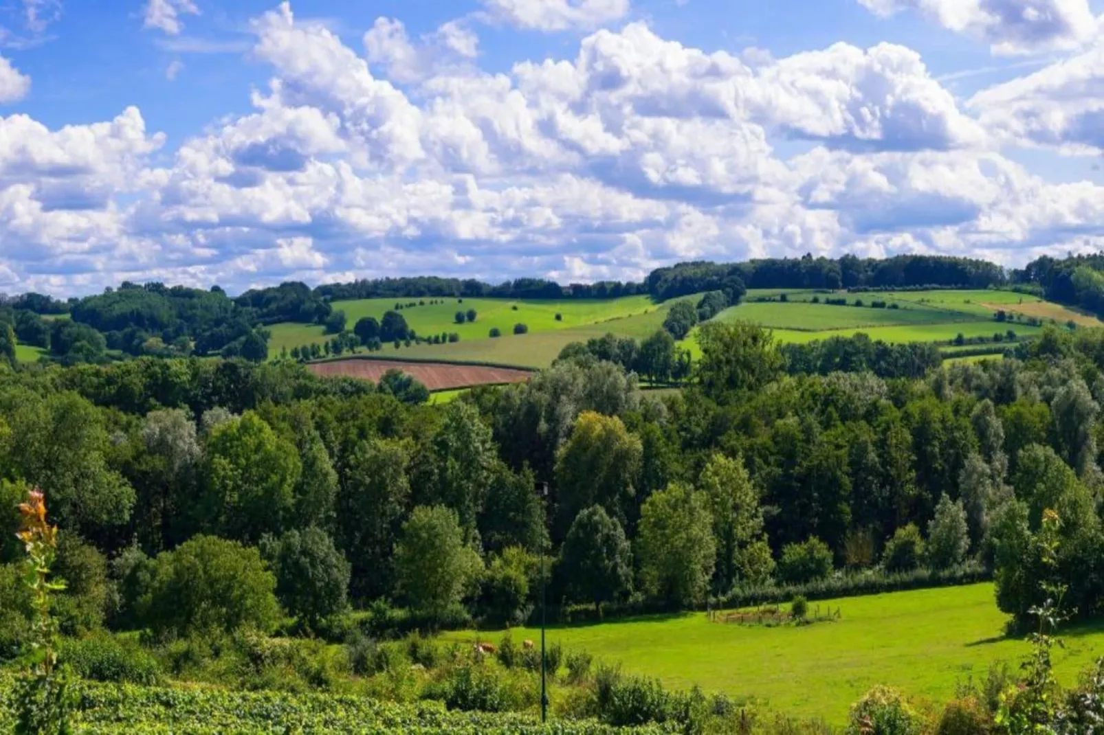 Dorpswoning Het Uitzicht-Gebieden zomer 20km