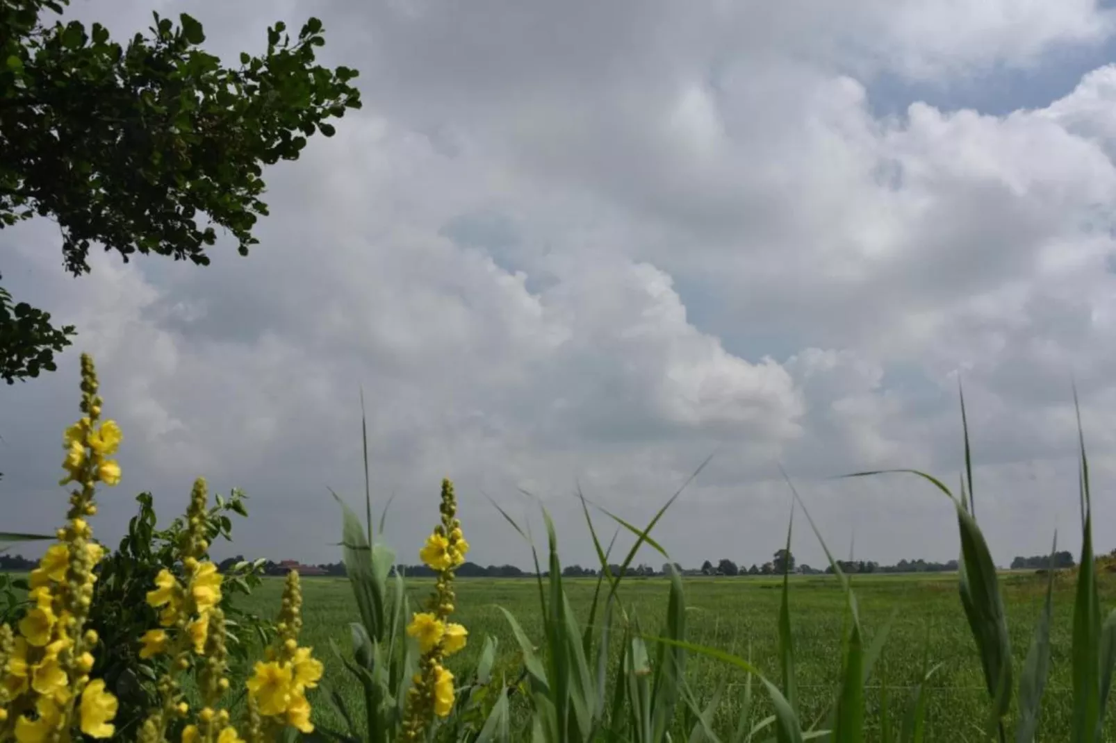 Friese Meren Villa's 14-Gebieden zomer 20km