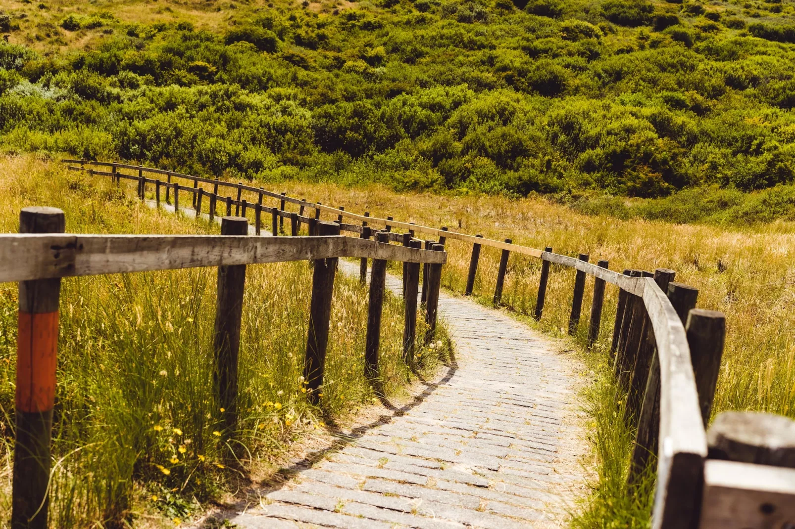 Sea Lodges Ameland 3-Gebieden zomer 20km