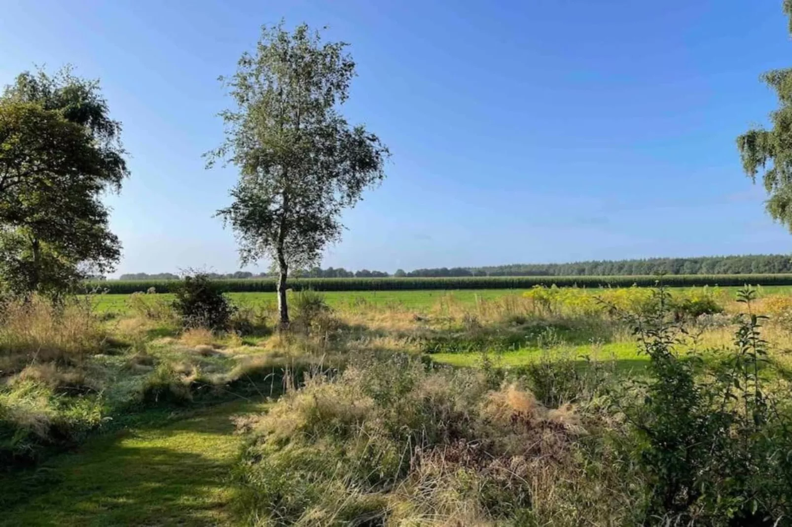 Vakantiepark Hunzedal 4-Gebieden zomer 20km