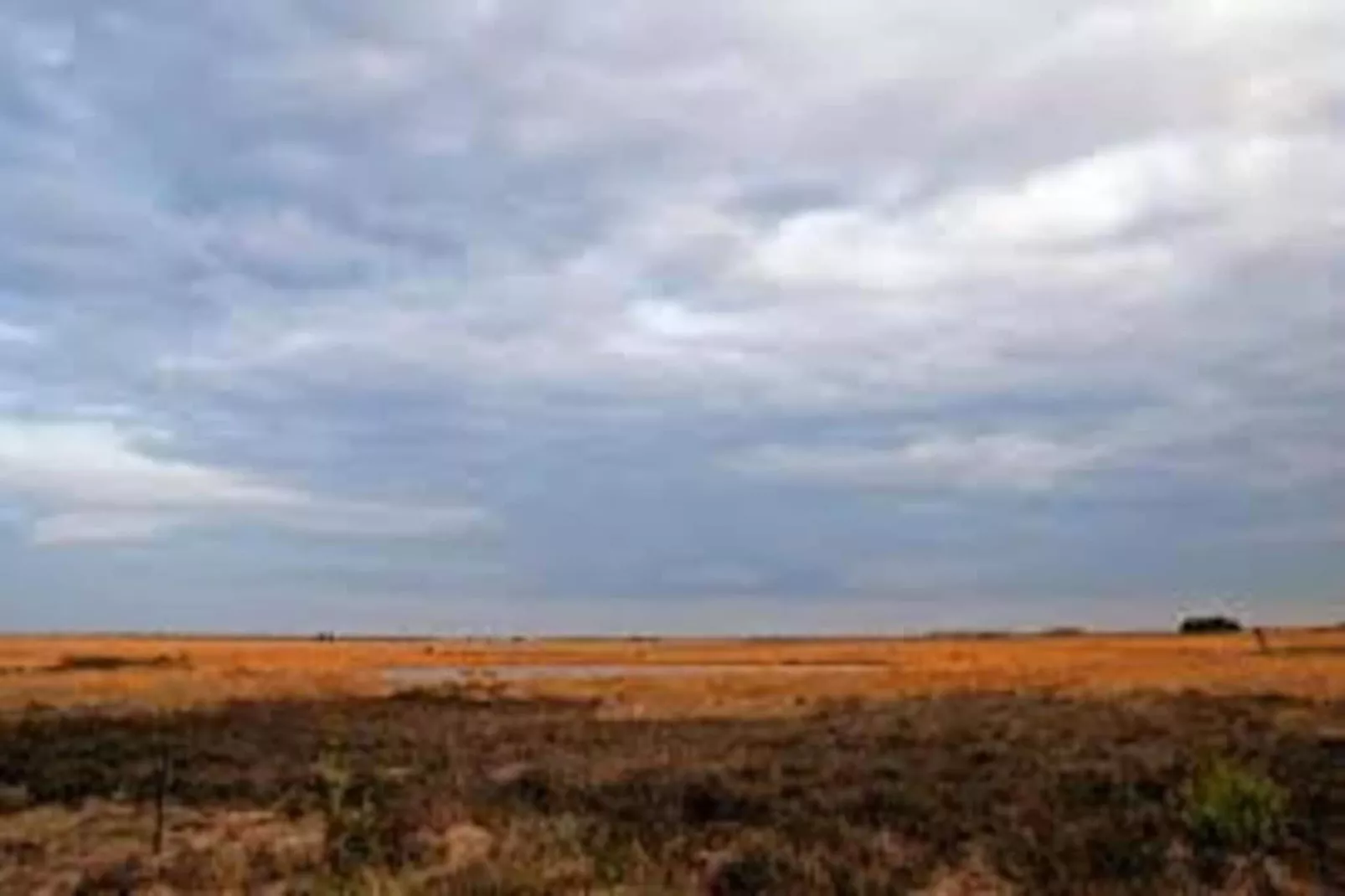 RCN Vakantiepark de Noordster 3-Gebieden zomer 20km