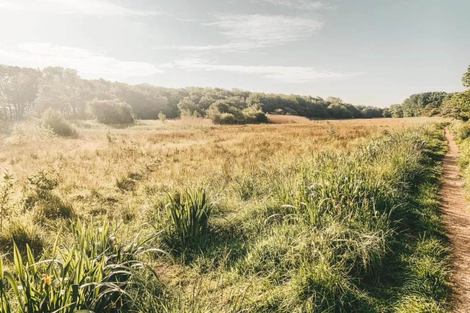 Vakantiepark Duinzicht 5-Gebieden zomer 20km