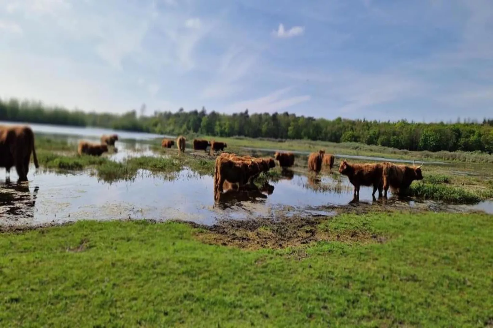 Bungalowpark Campanula 6-Gebieden zomer 20km