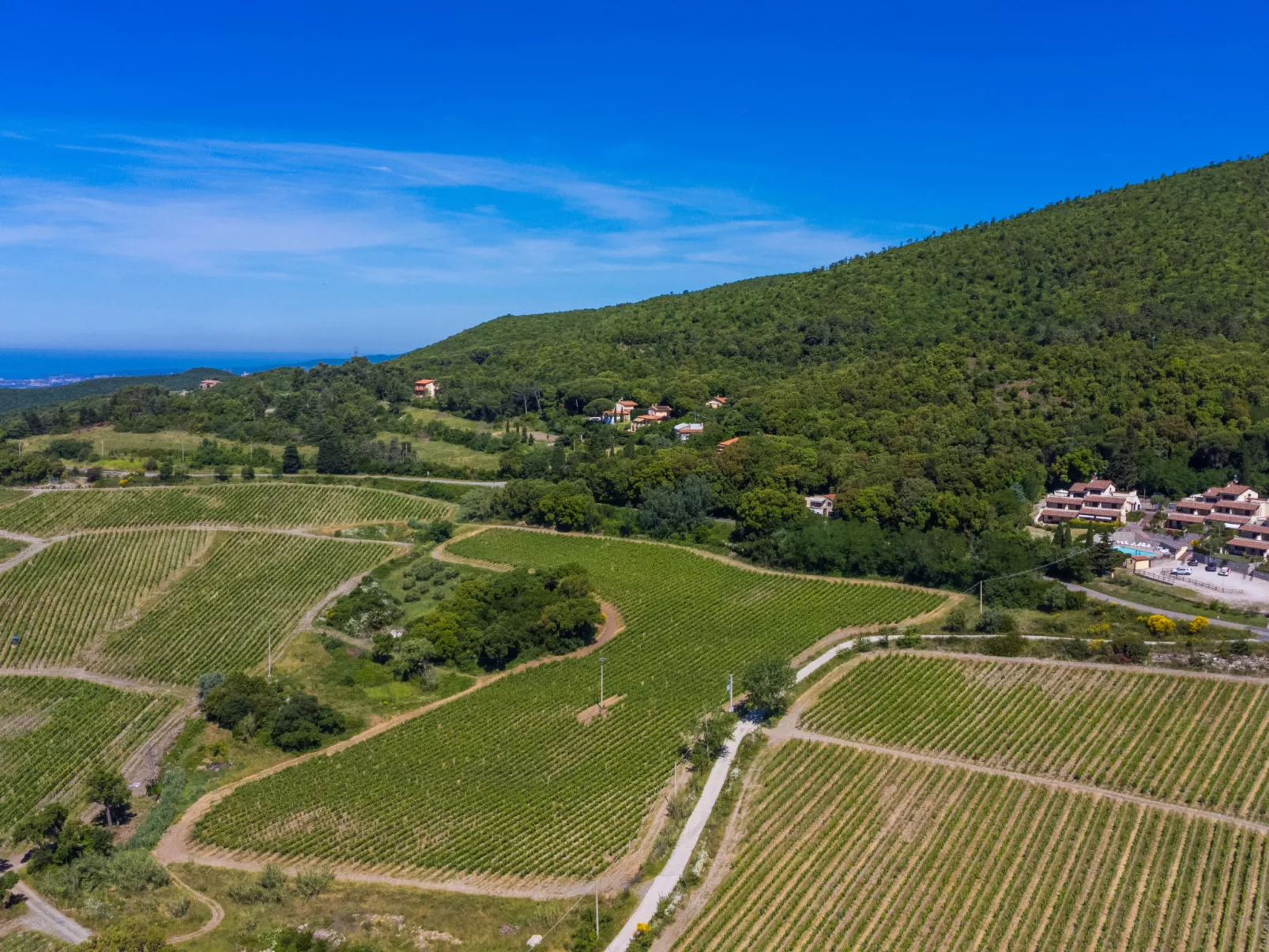 Poggio di Nocola-Buiten