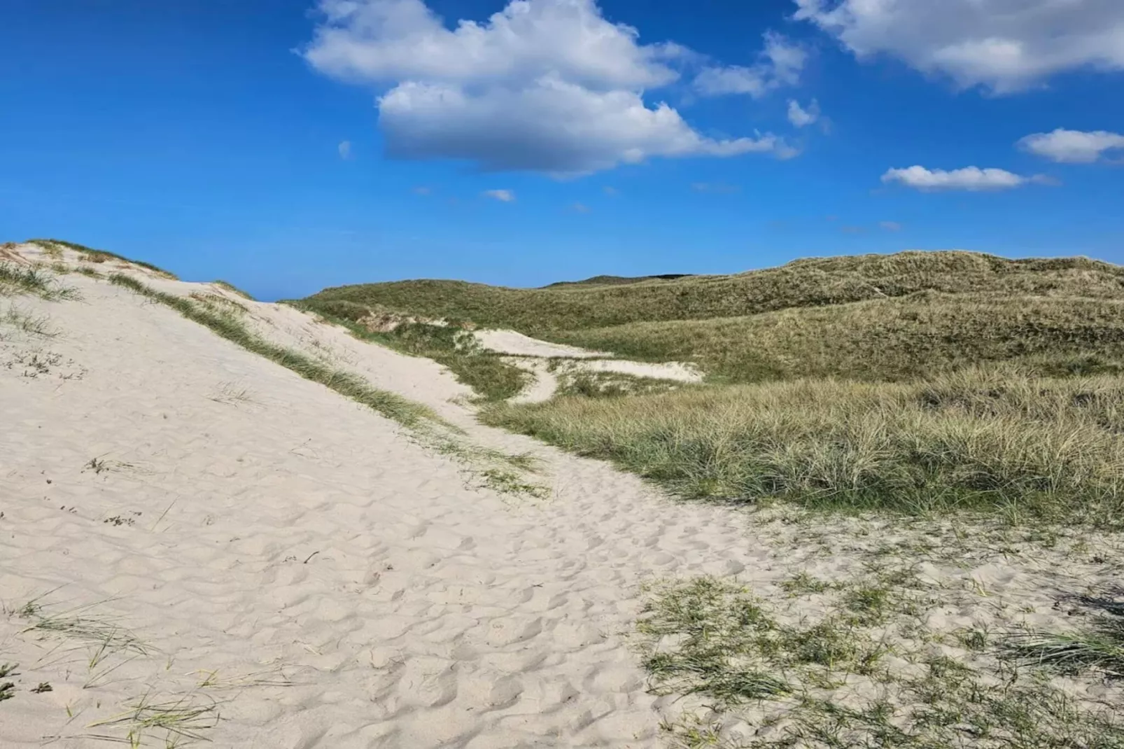 8 persoons vakantie huis in Ulfborg-By Traum-Niet-getagd