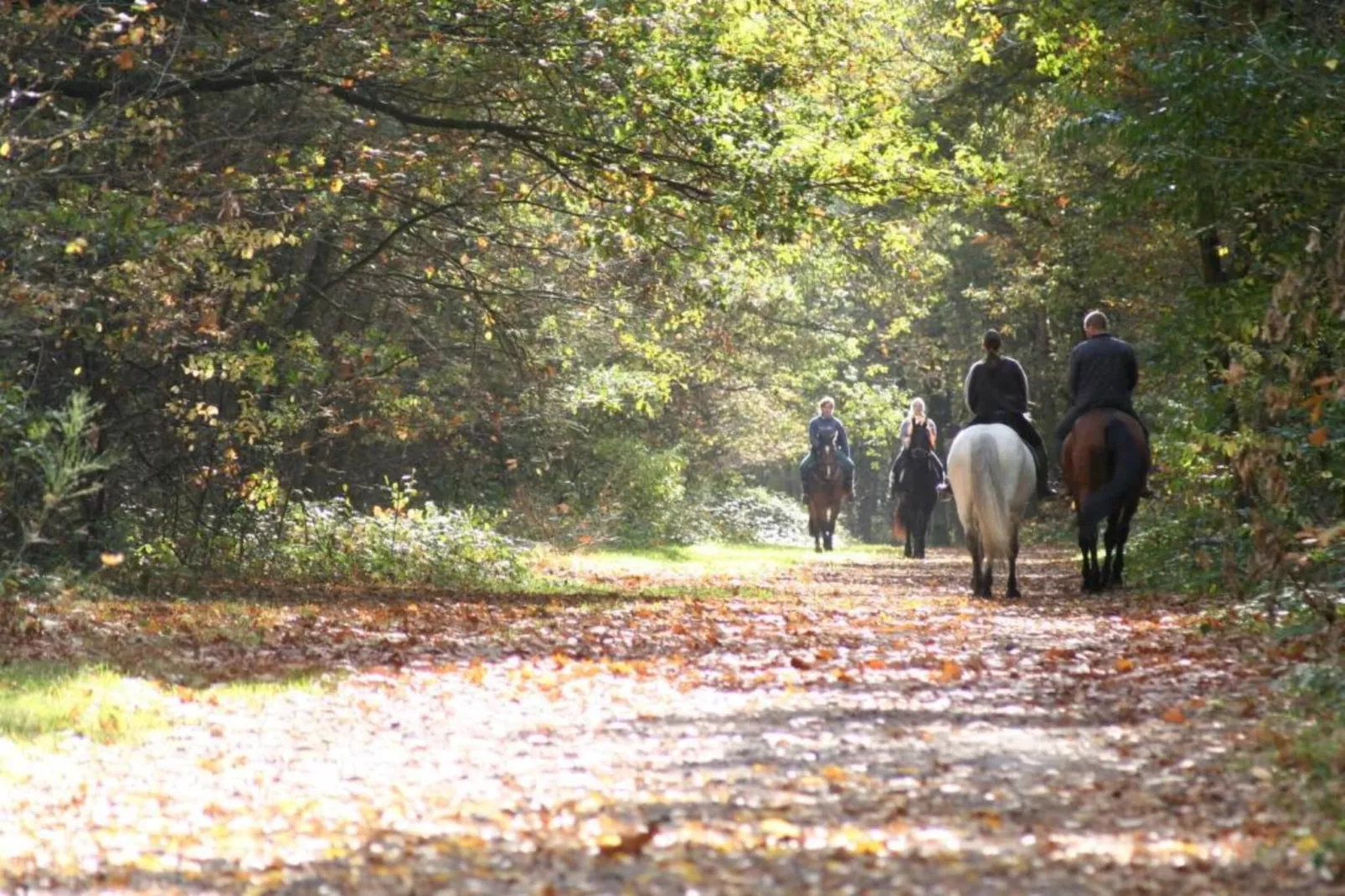 Hengelhoef-Gebieden zomer 20km