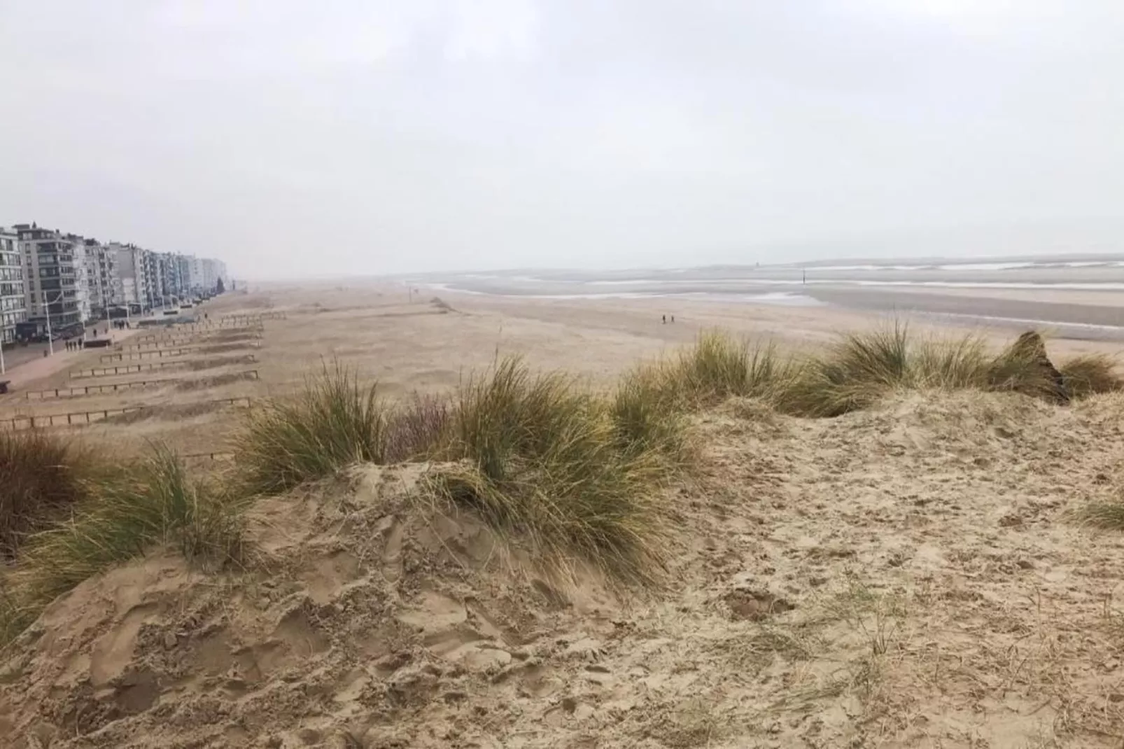 Ter panne 303  g-Gebieden zomer 1km