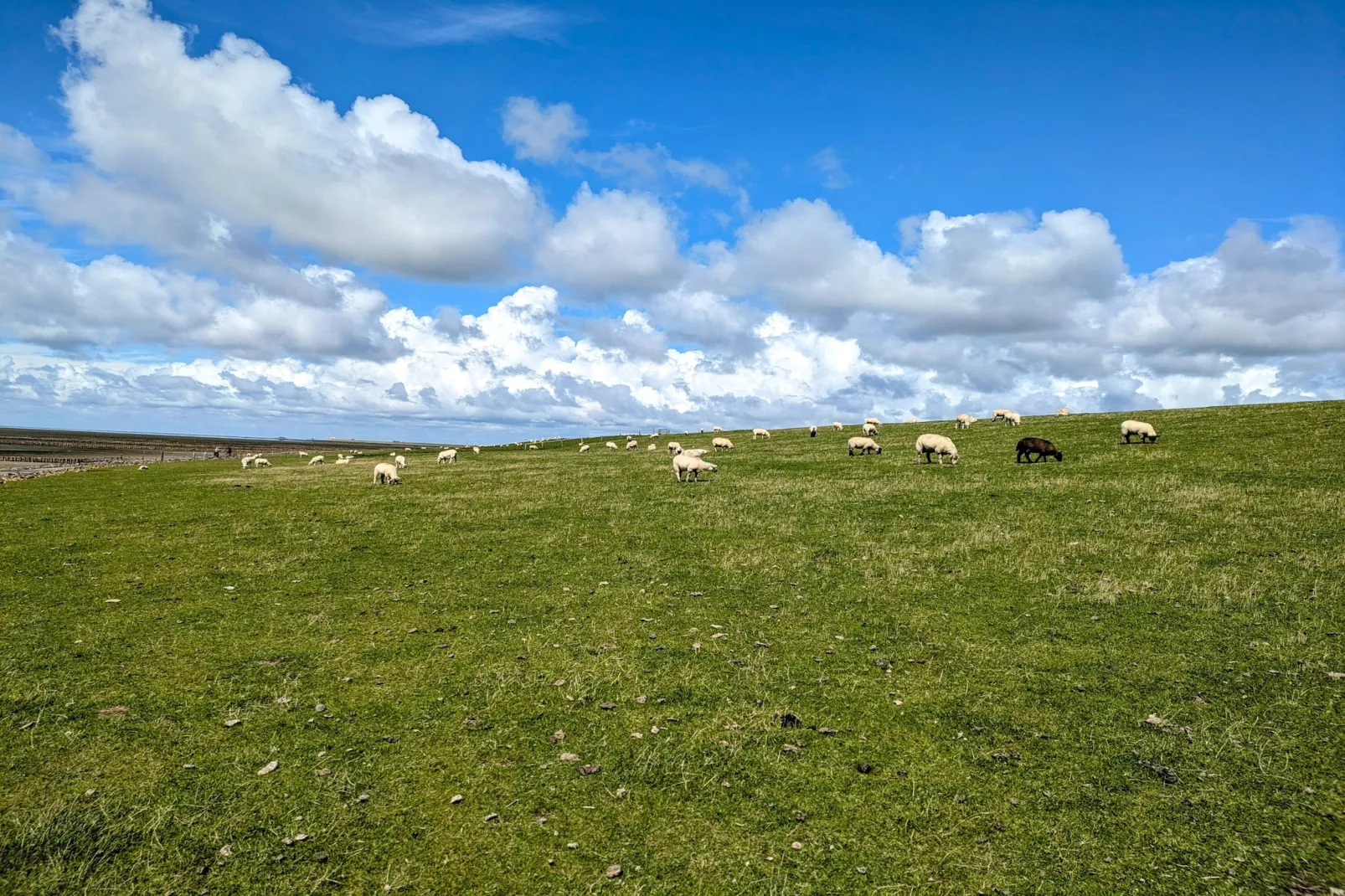 Penthouse Küstenzauber auf Nordstrand 4 Personen-Gebieden zomer 1km