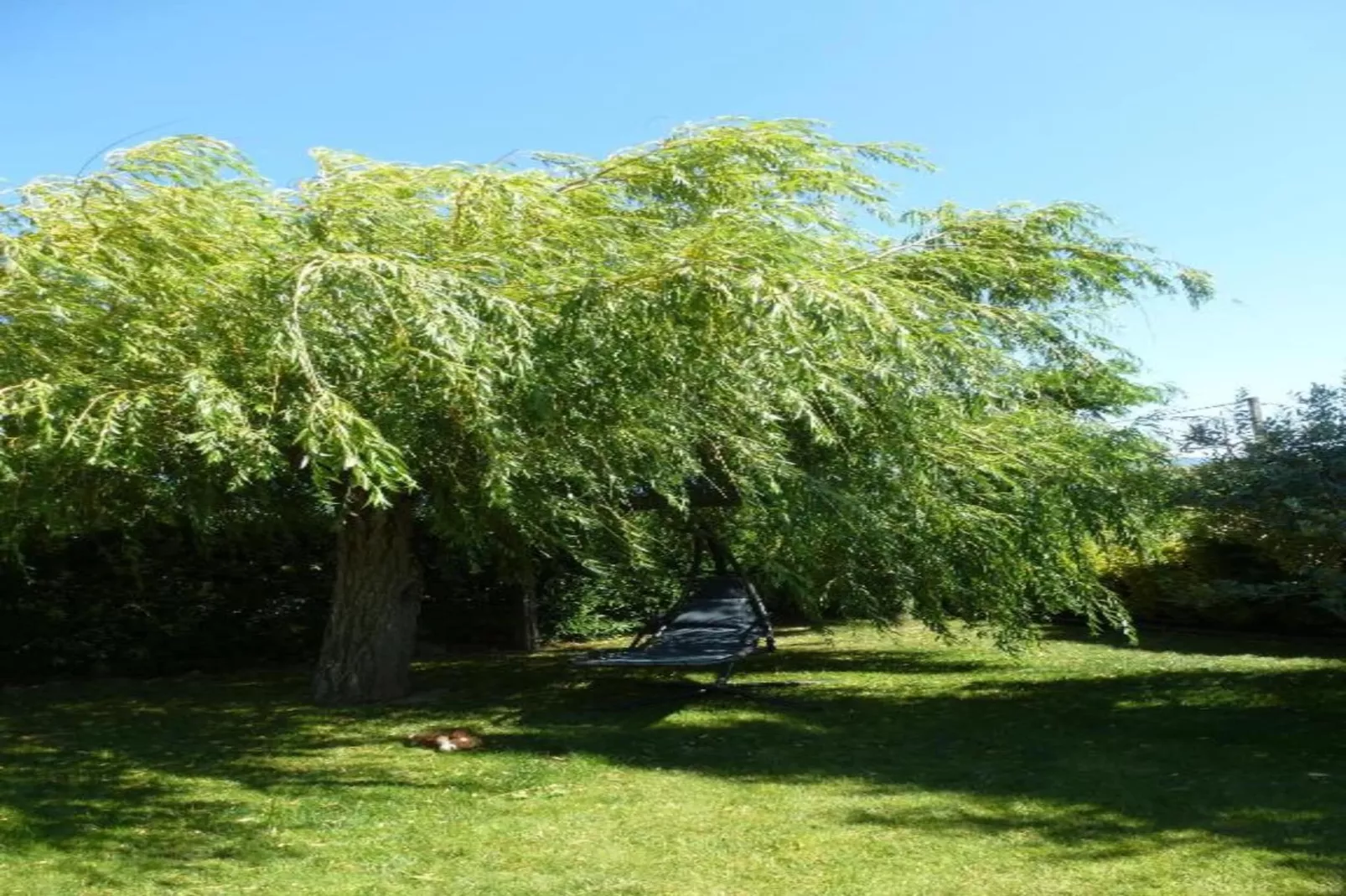 Maison de vacances Le Thor-Gebieden zomer 20km