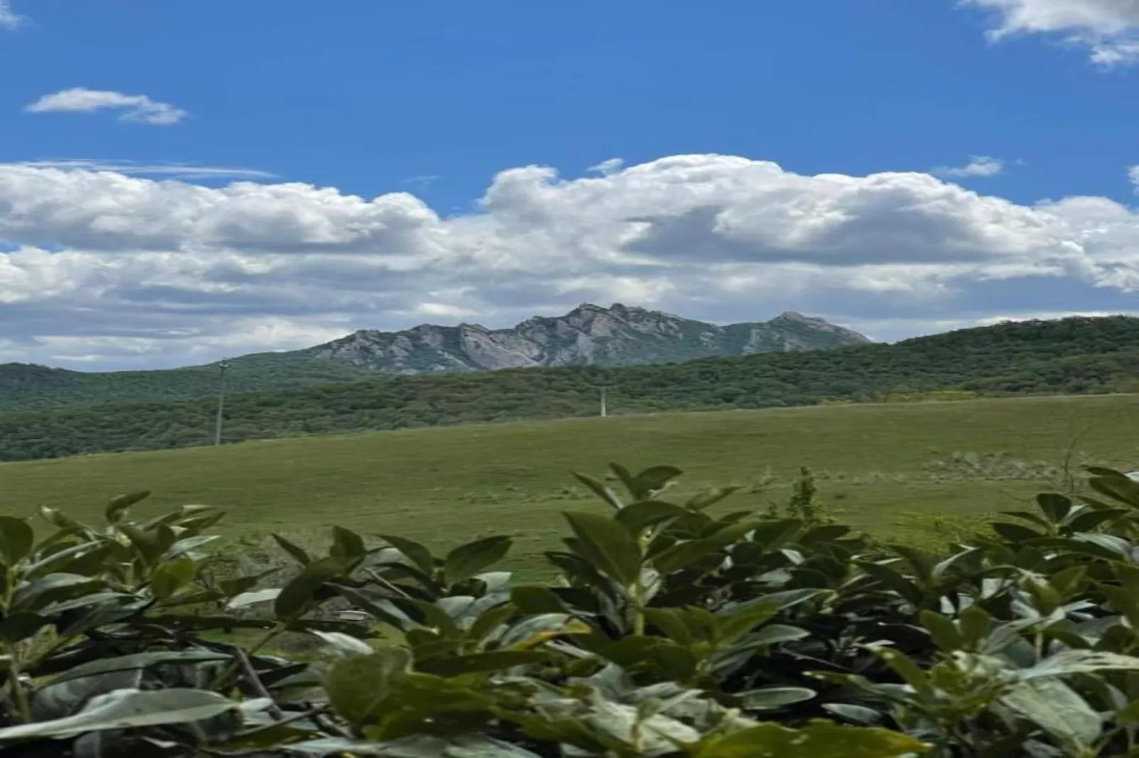 La Foresteria di San Leo-Gebieden zomer 20km
