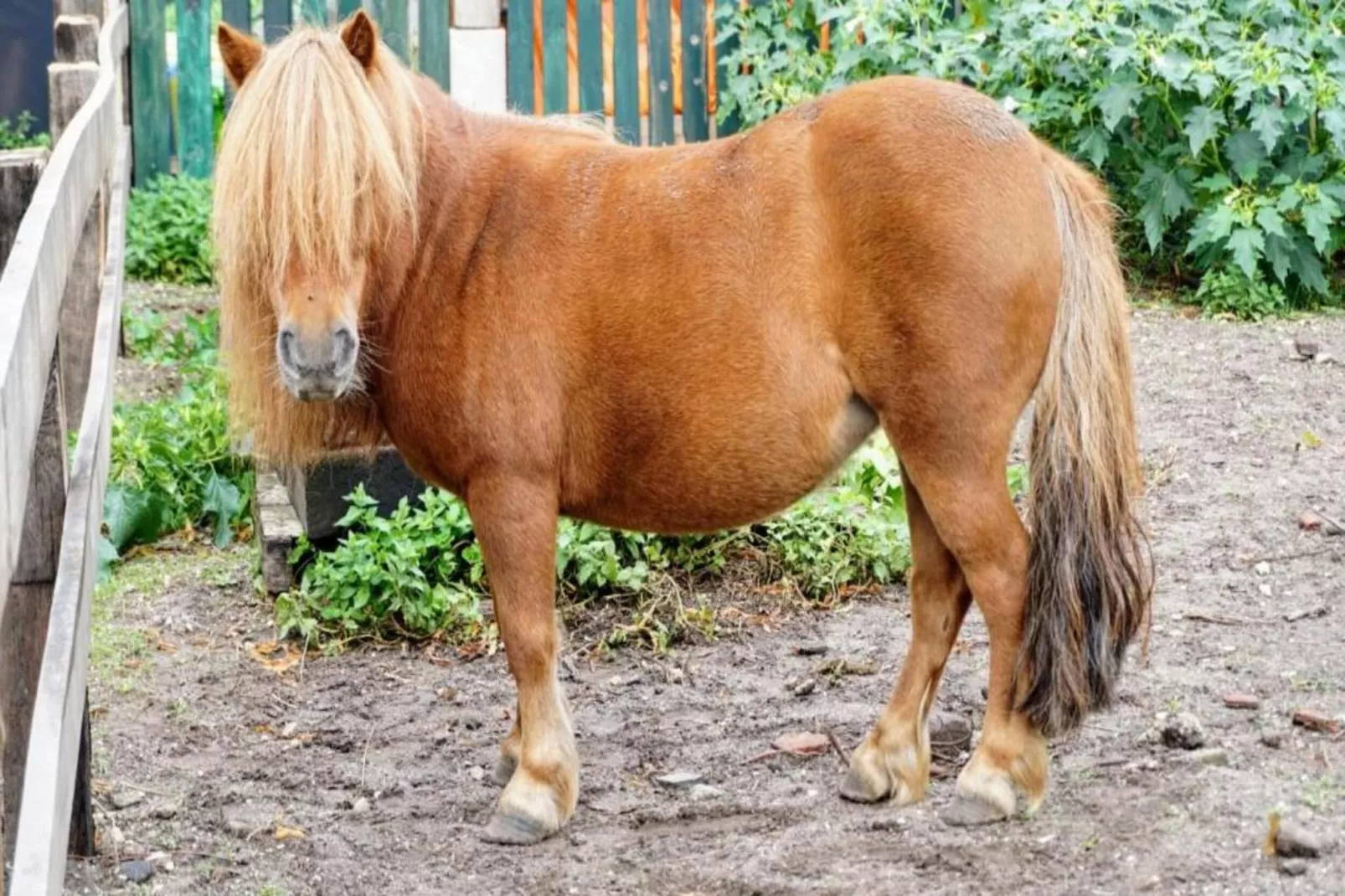 Vakantiepark Sandberghe 13-Gebieden zomer 20km
