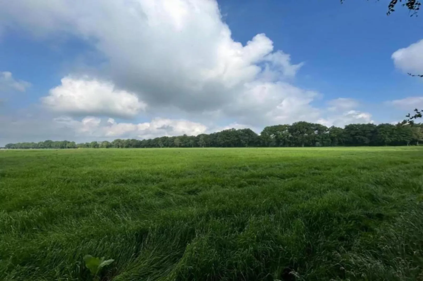 De Weelderik 1-Gebieden zomer 20km