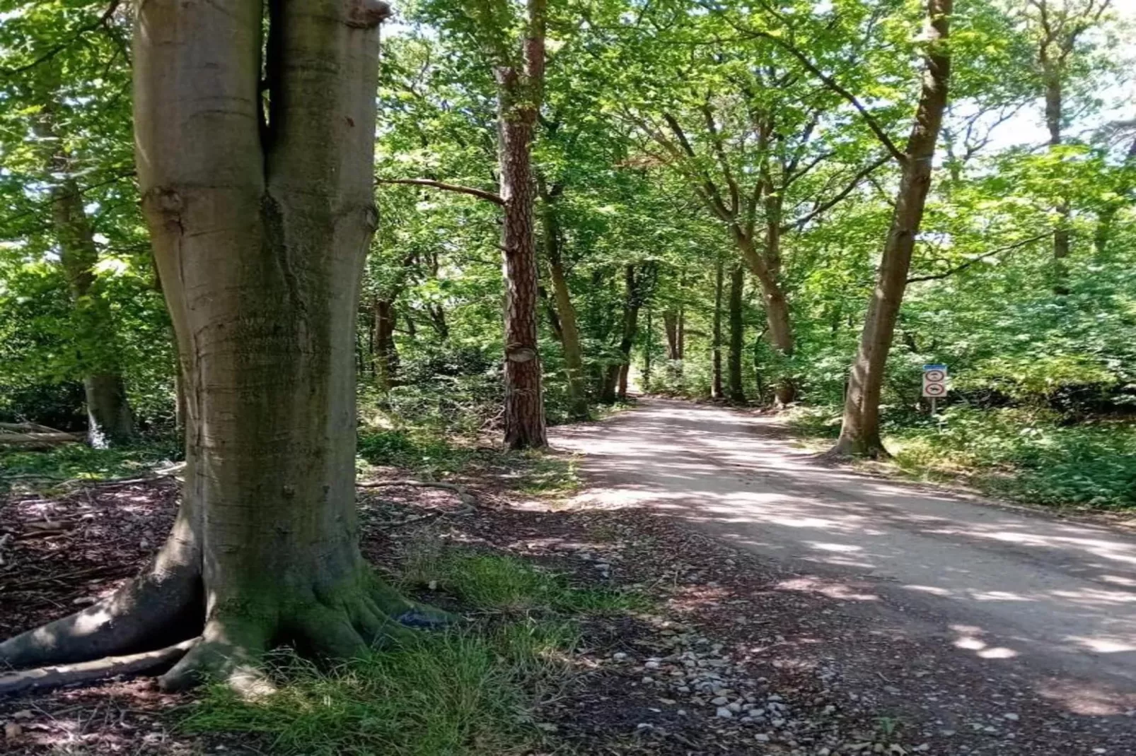 Residence De Eese 3-Gebieden zomer 20km