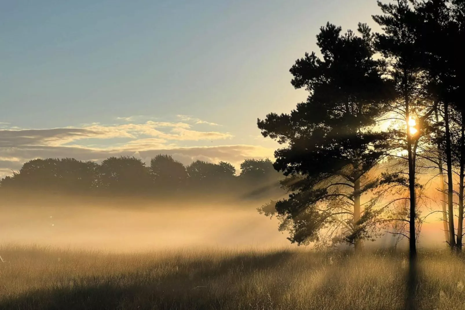 Dwergarend 17-02-Gebieden zomer 20km