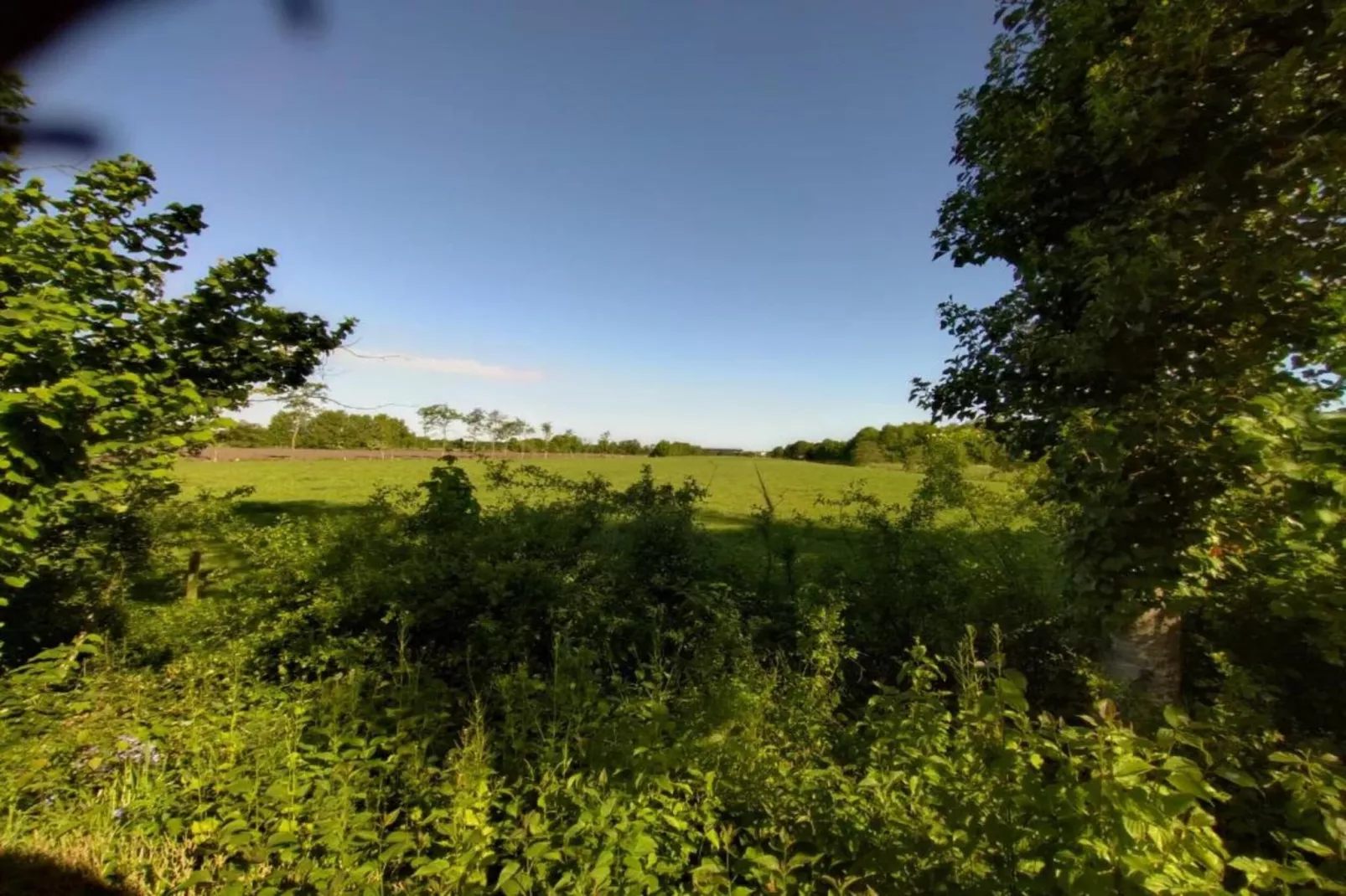 Boerderij De Wilgen-Gebieden zomer 5km