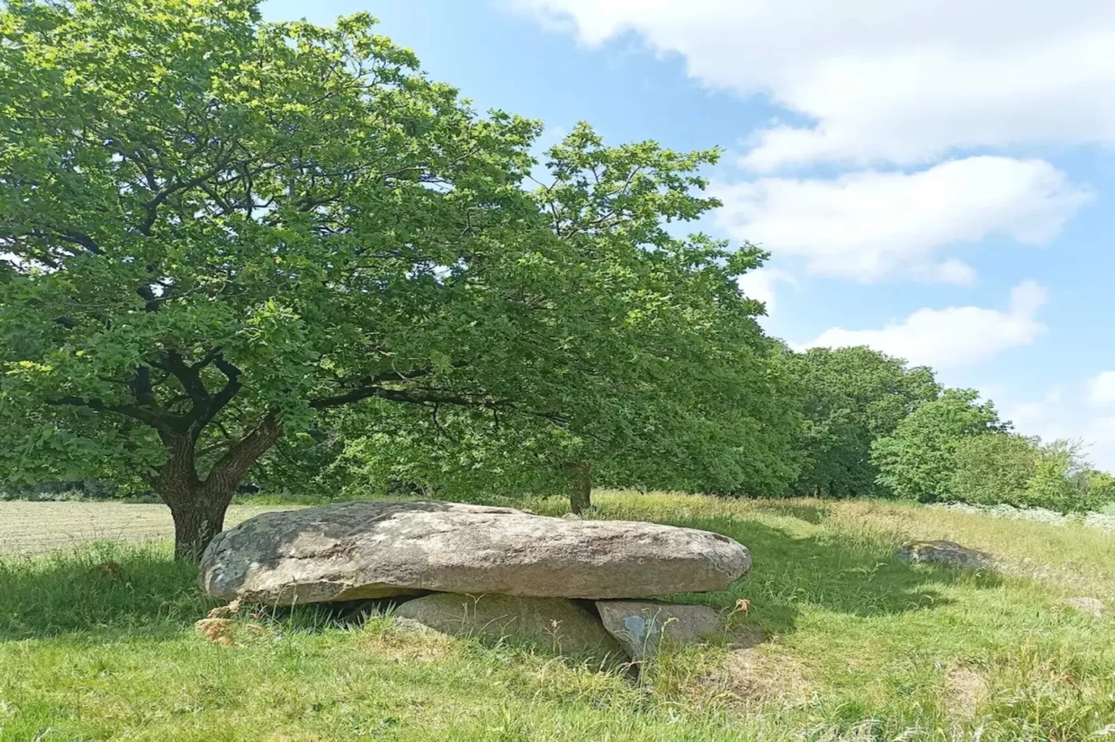 5 sterren vakantie huis in Hovborg-By Traum-Niet-getagd