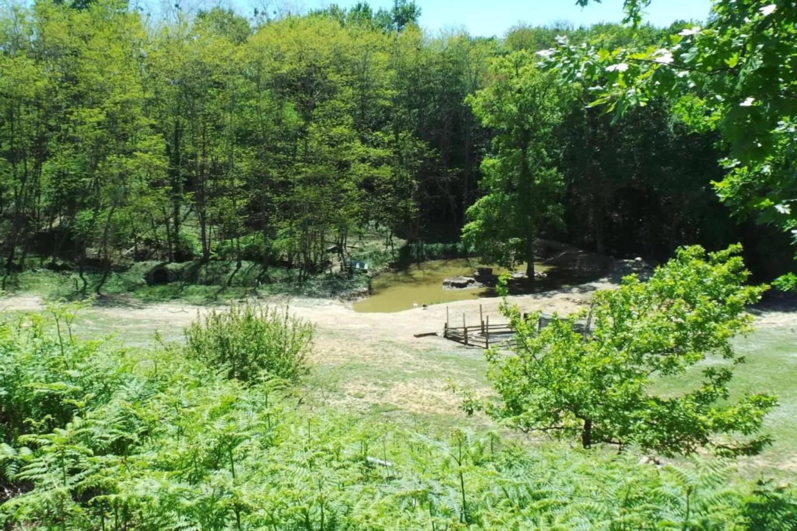 Camiran-Gebieden zomer 20km