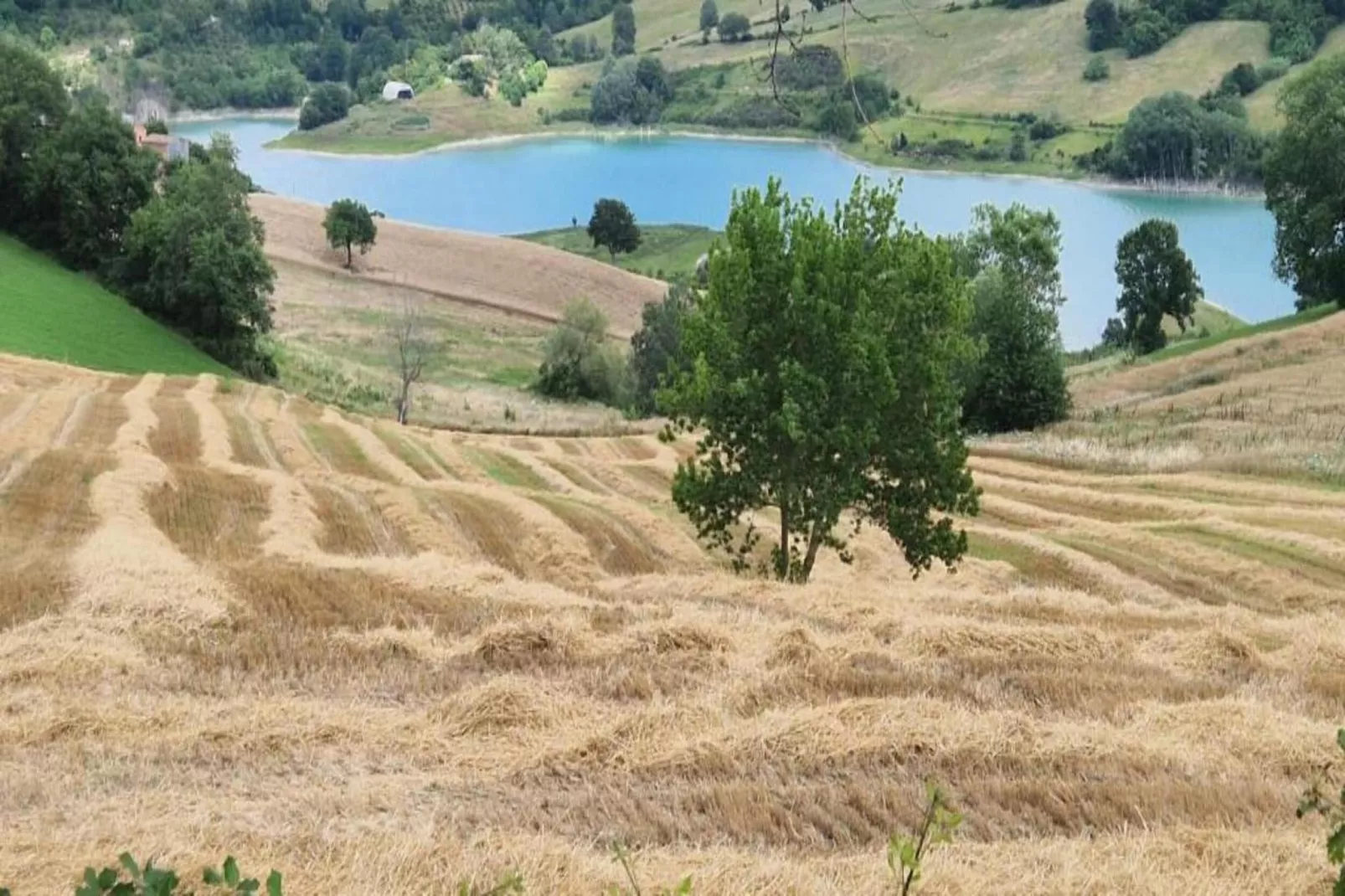 Binnella 18-Gebieden zomer 20km