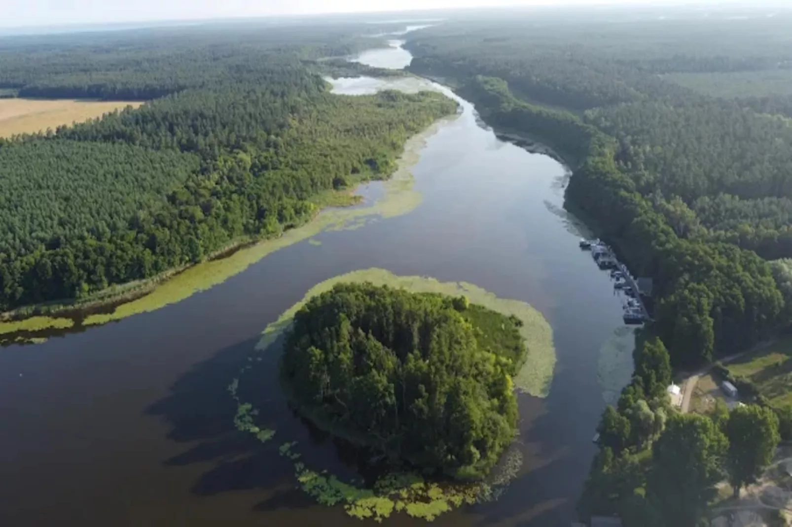 Wildgans Classic 246-Gebieden zomer 1km