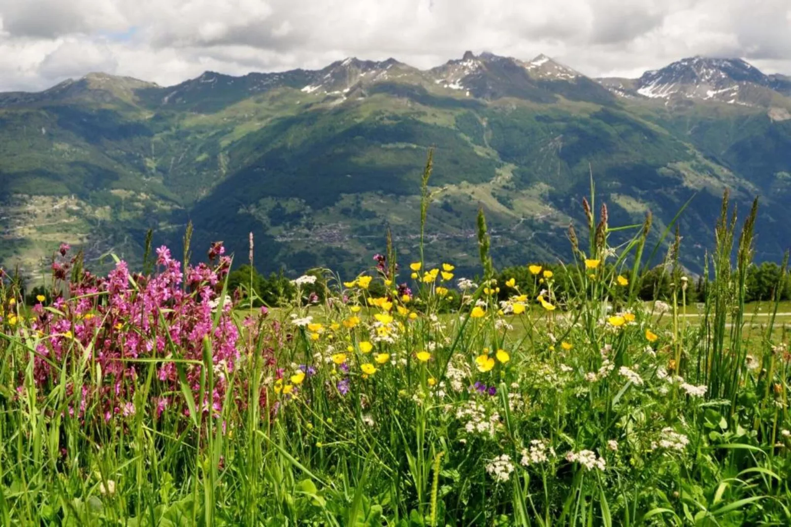 Mayens de l'Ours AZ 032 - MOUNTAIN apartment 6 p-Gebieden zomer 5km
