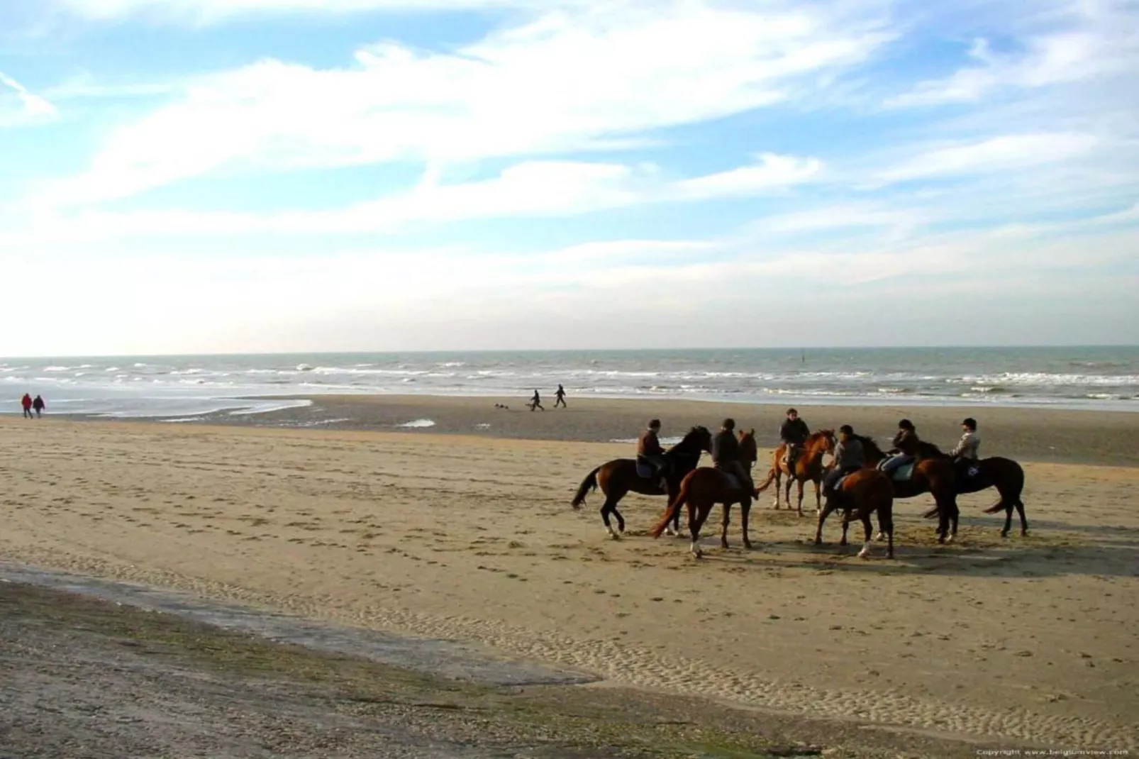 SEASIGHT - 91-Gebieden zomer 1km