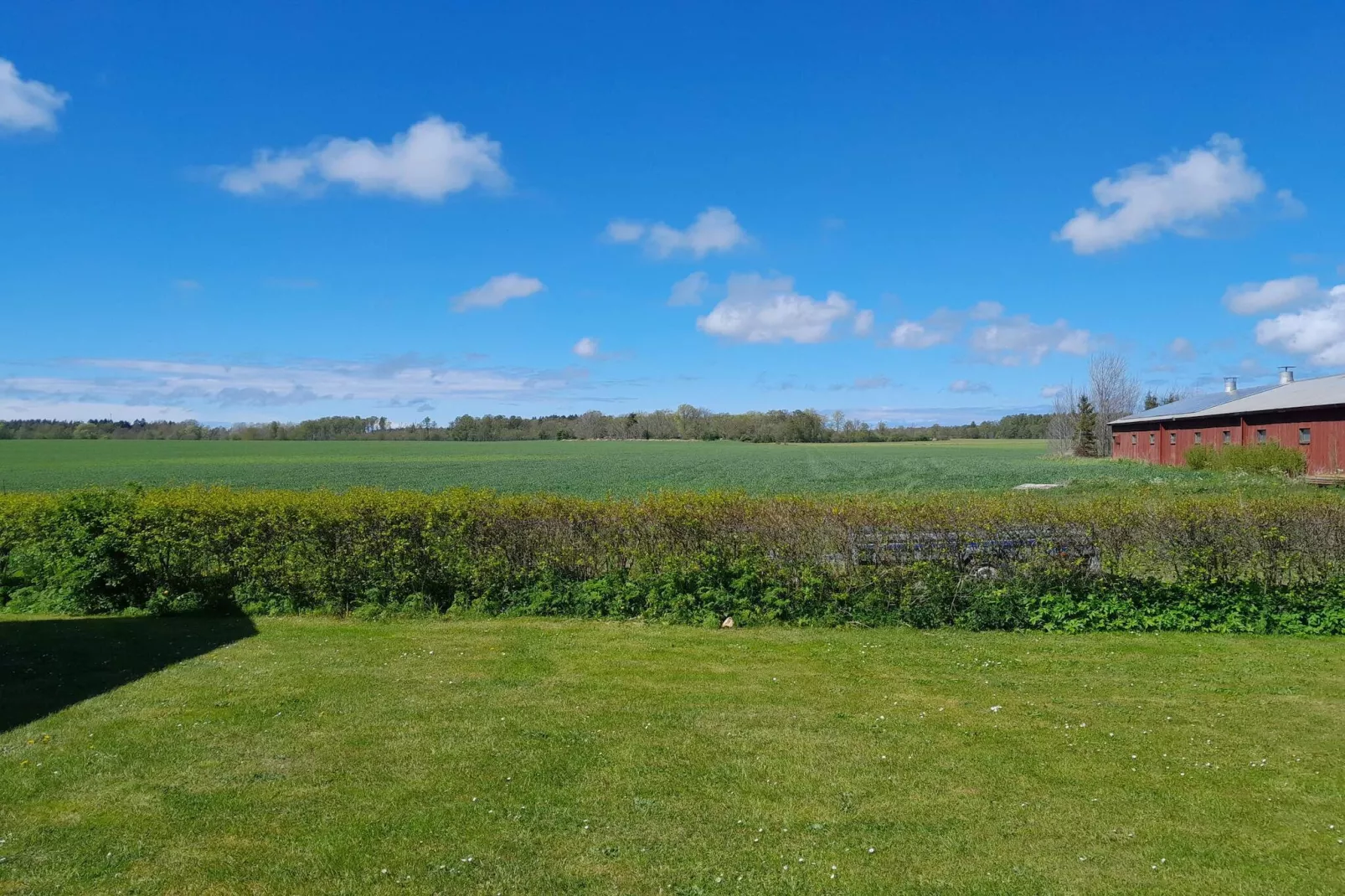 4 sterren vakantie huis in GOTLANDS TOFTA-Buitenlucht