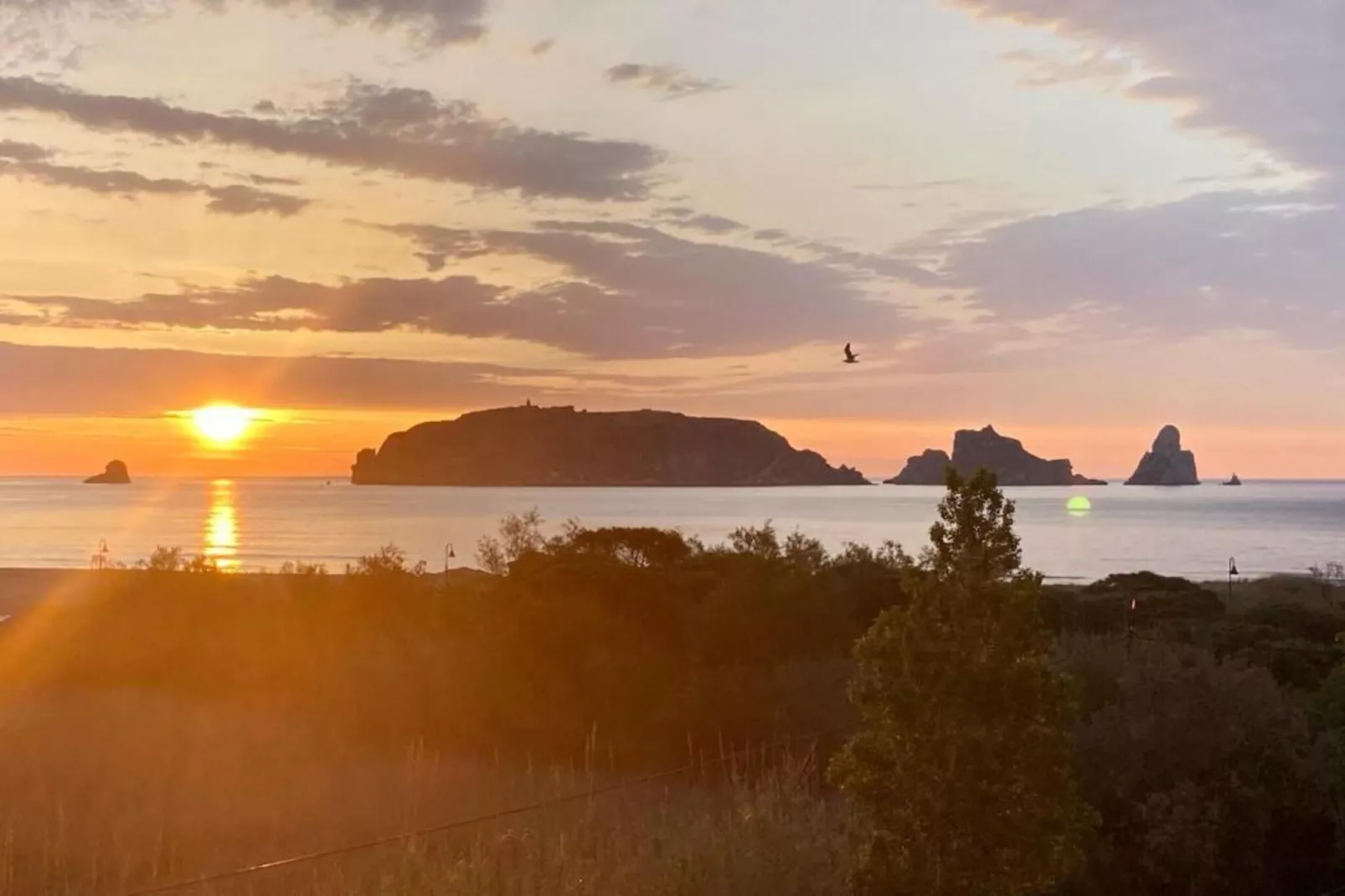 EMPORDA 4-3-Gebieden zomer 1km