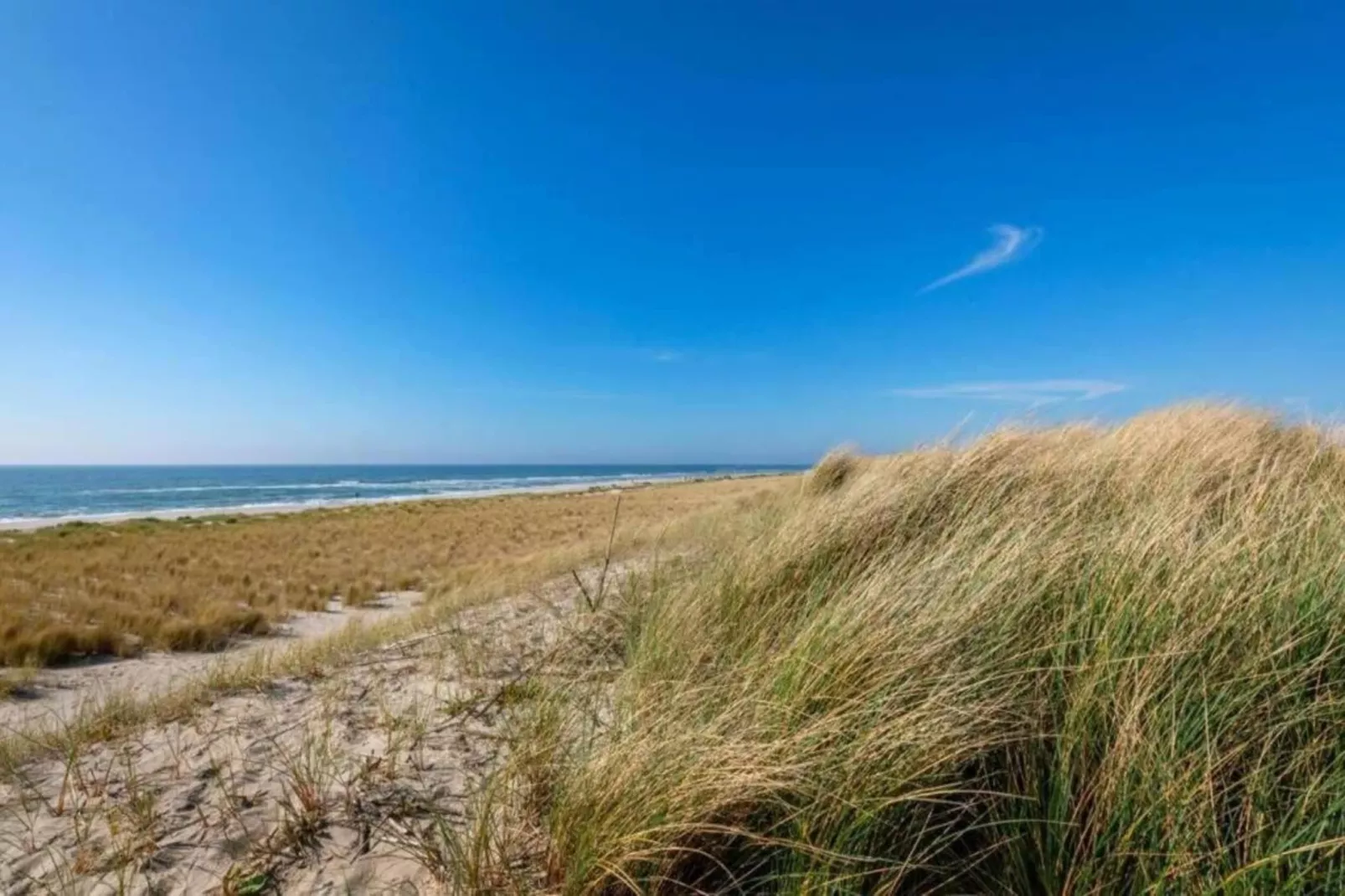 Anzelhoef Apartment Oost-Gebieden zomer 5km