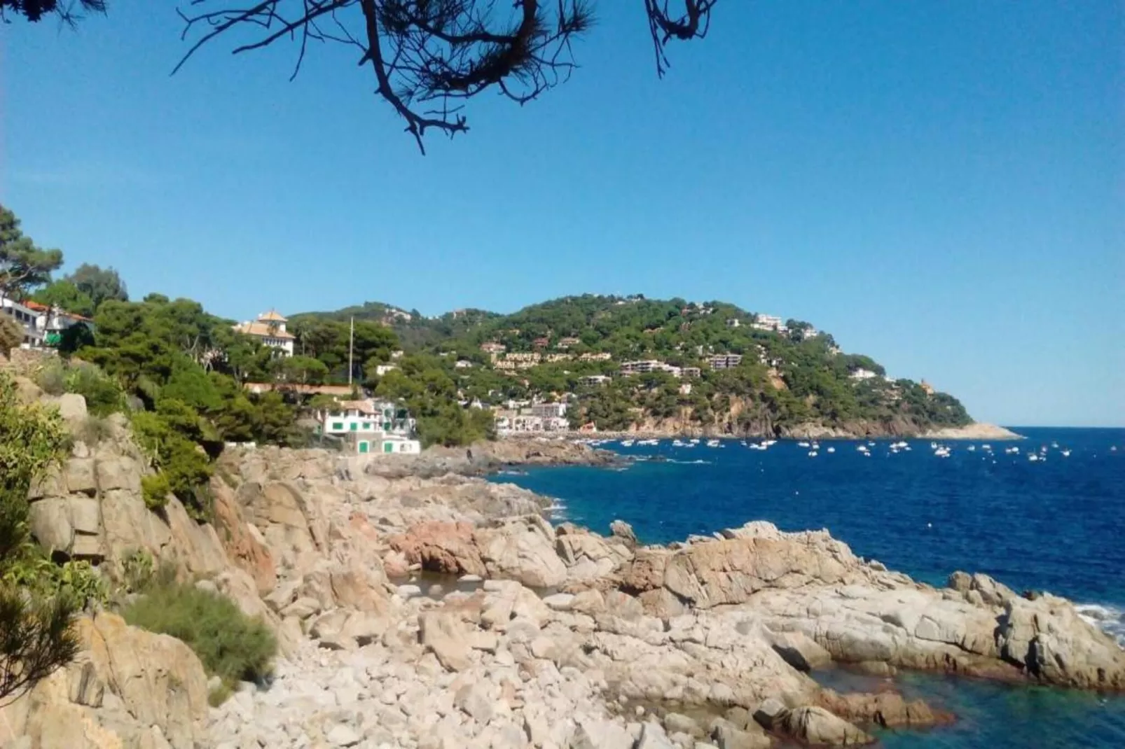Montserrat-Gebieden zomer 20km