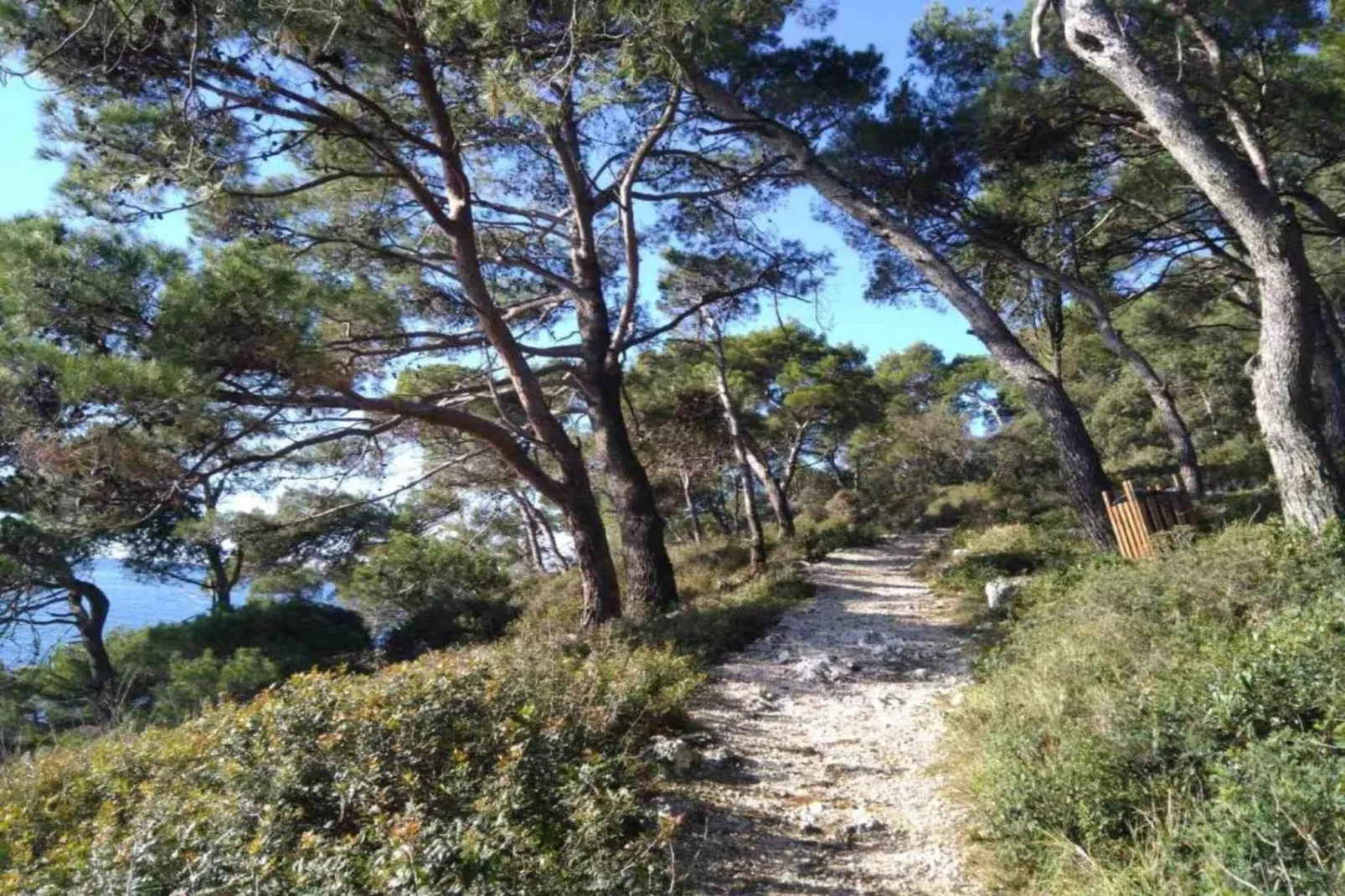 Apartment Banjole - 200 m from the Beach-Gebieden zomer 20km