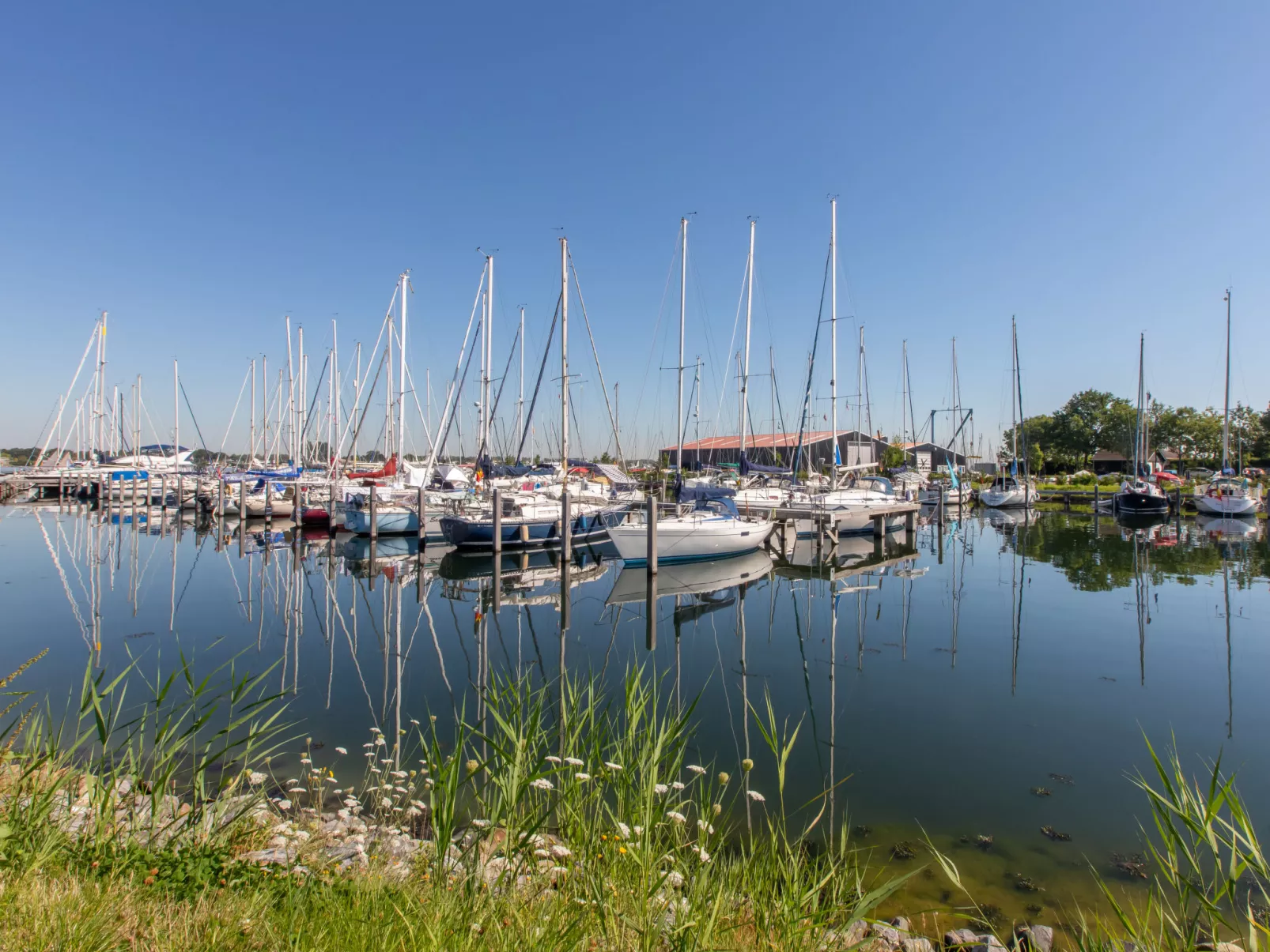 Beach House Westkapelle 103 C-Buiten