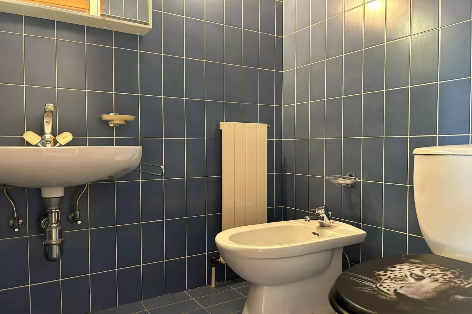 Diablerets D 012 -MOUNTAIN studio 4 pers-Badkamer