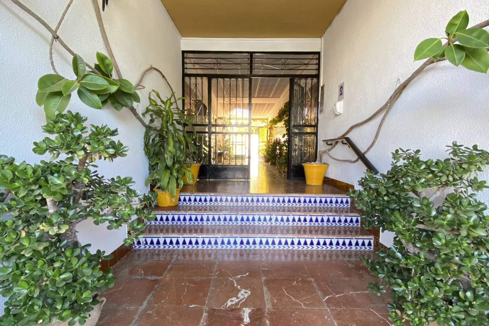 Acapulco Apartment 16 by Casasol-Buitenlucht