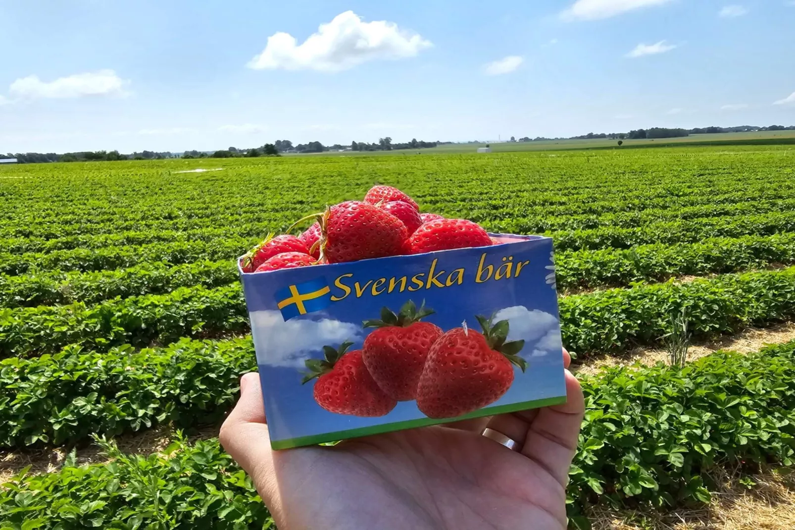 Lägenhet med 2 sovrum-Buitenlucht