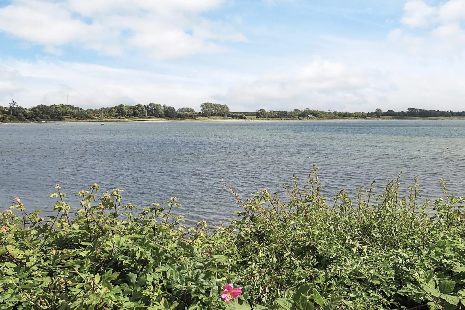 4 persoons vakantie huis in Martofte-Waterzicht