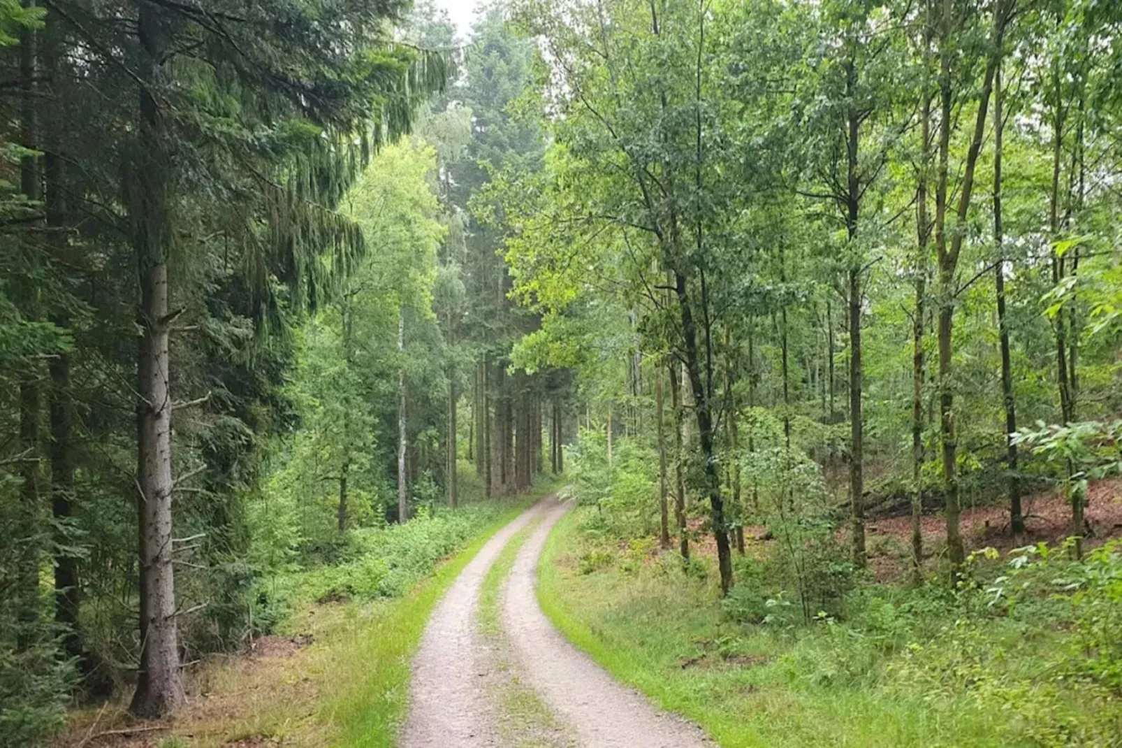 8 persoons vakantie huis in Løgstør-By Traum-Niet-getagd