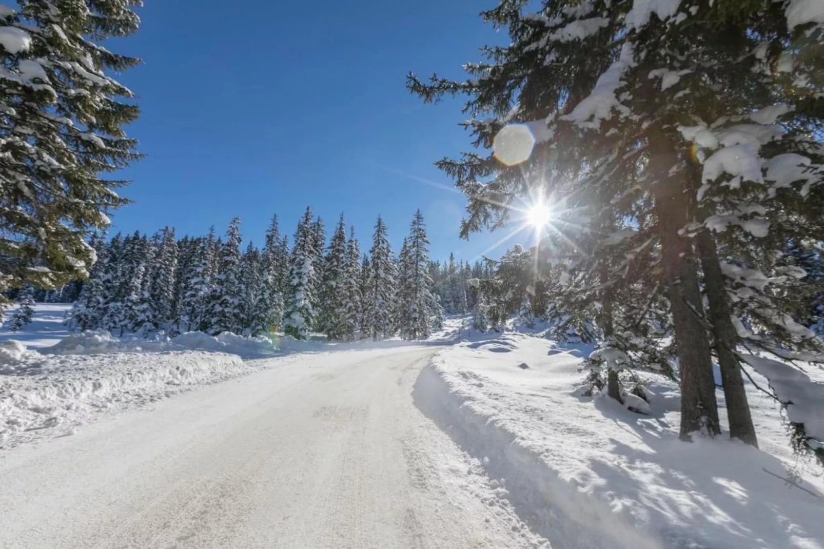 Apartment "Grasberge"-Gebied winter 20km