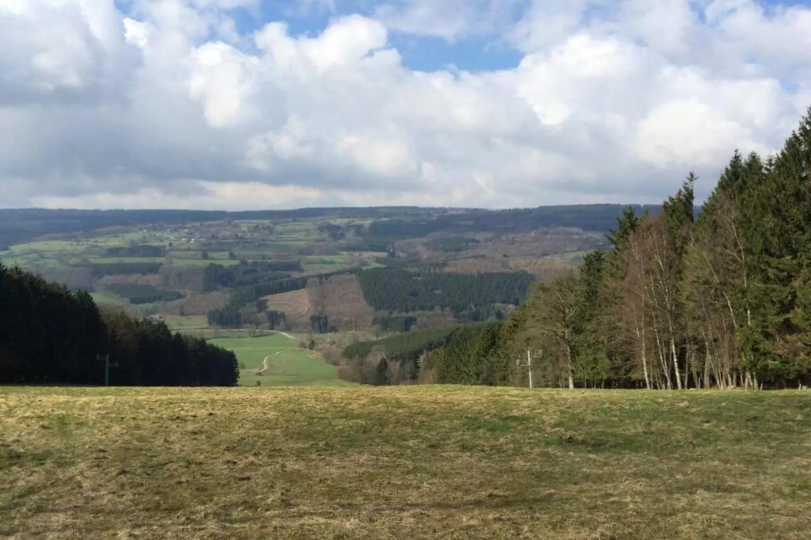 La lavande-Gebieden zomer 20km