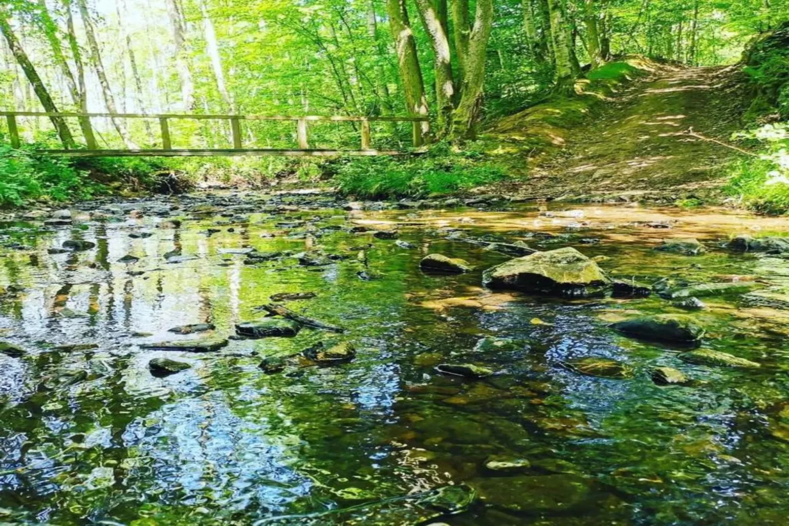Verblijfpark Ardinam 1-Gebieden zomer 20km