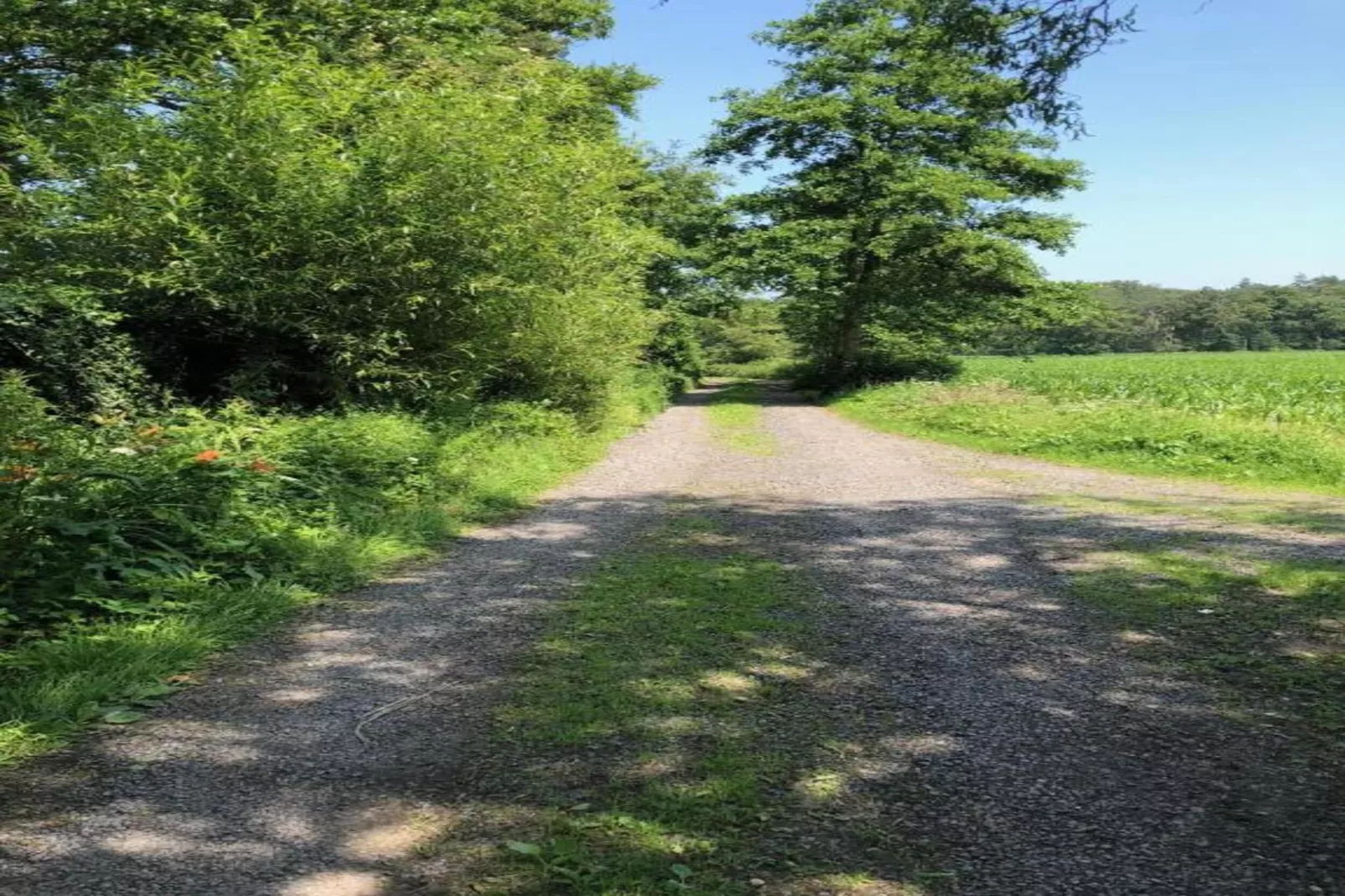 Sylvies lodge-Gebieden zomer 20km