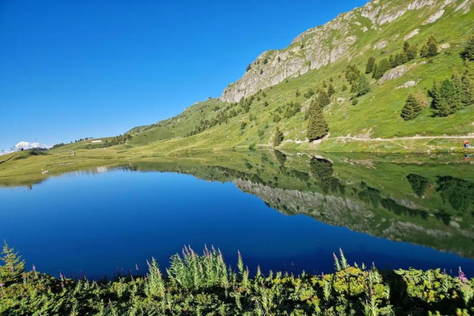 Chalet Edge-Gebieden zomer 5km