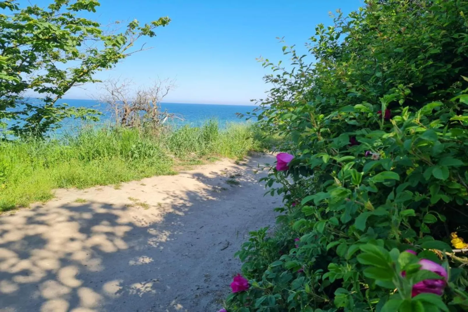 Traumperle familienfreundlich am Ostseestrand-Gebieden zomer 5km