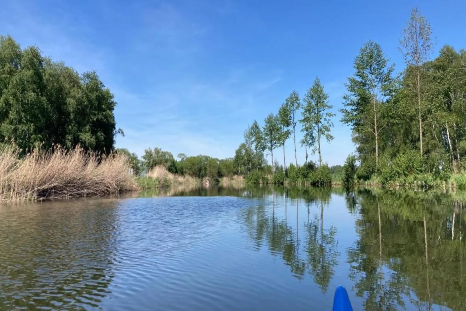Ferienhaus Storchenblick-Gebieden zomer 20km
