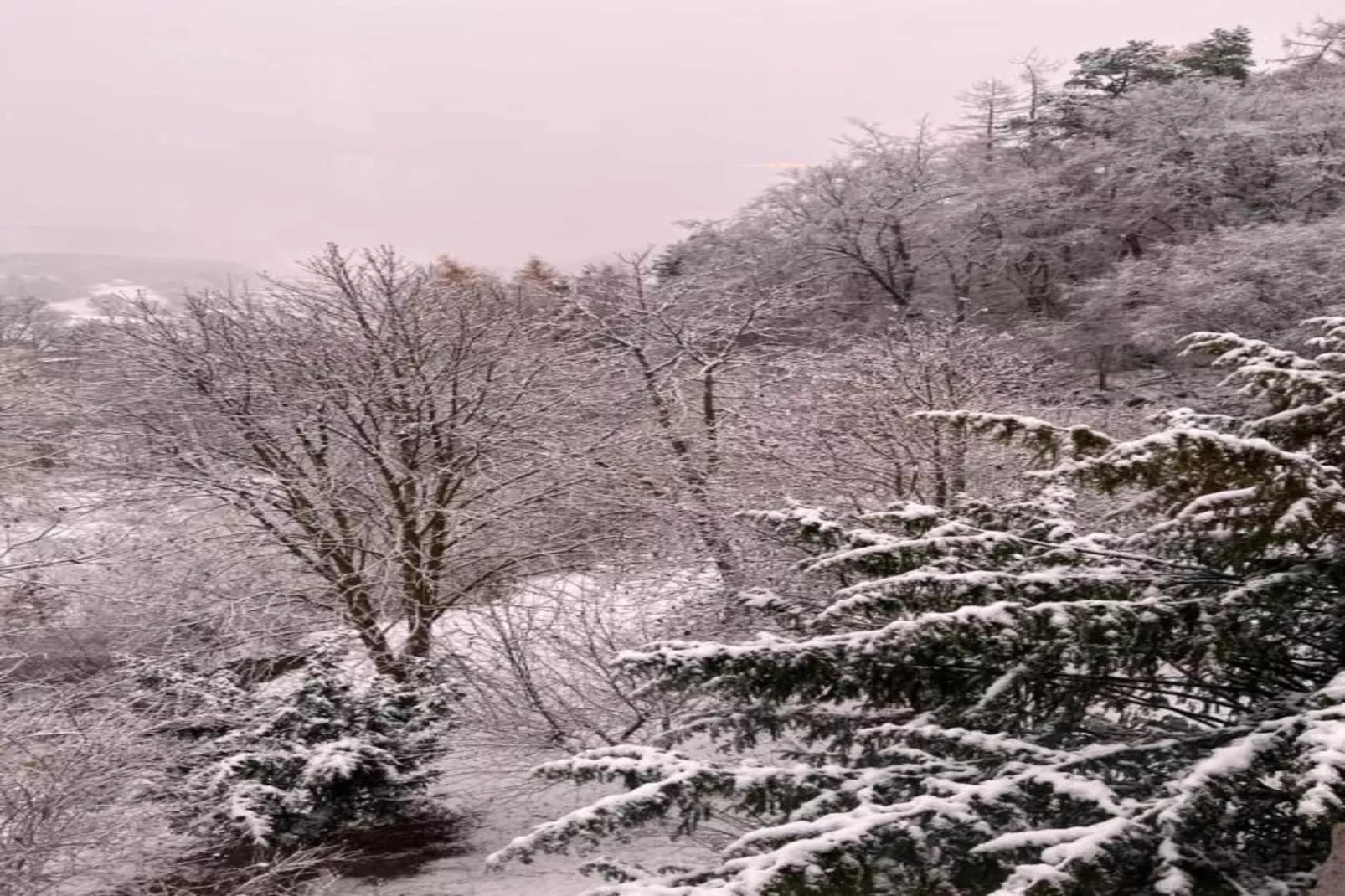 Sauerland-Gebied winter 20km
