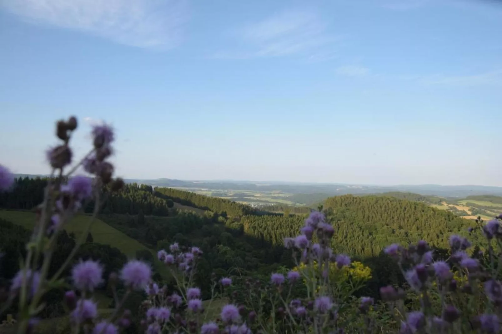 Im Sauerland-Gebieden zomer 20km