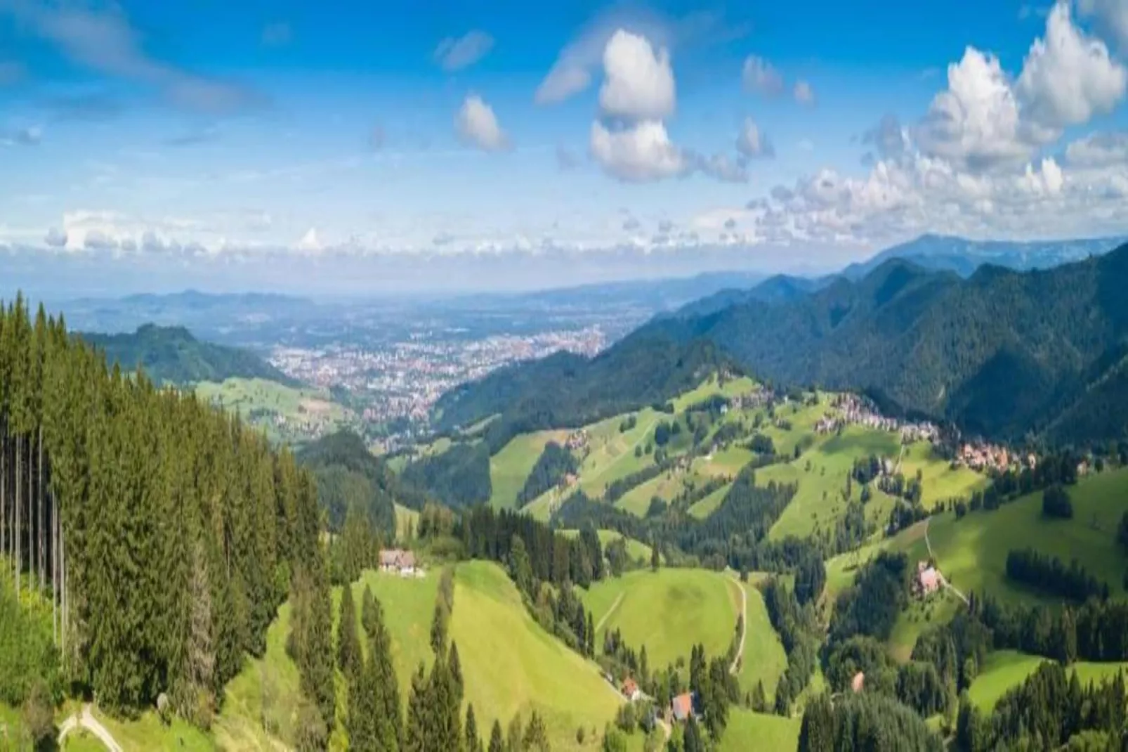 Schwarzwald-Gebieden zomer 20km