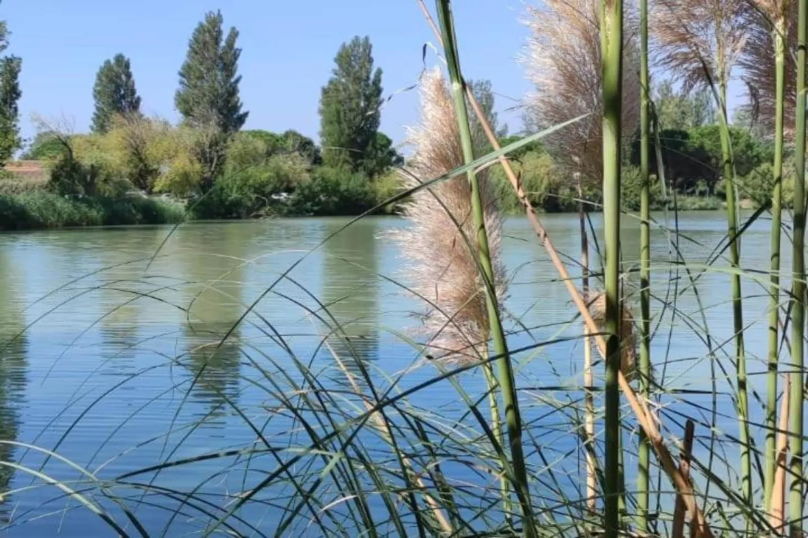 Le village Camarguais Les Gardians 6-Gebieden zomer 20km