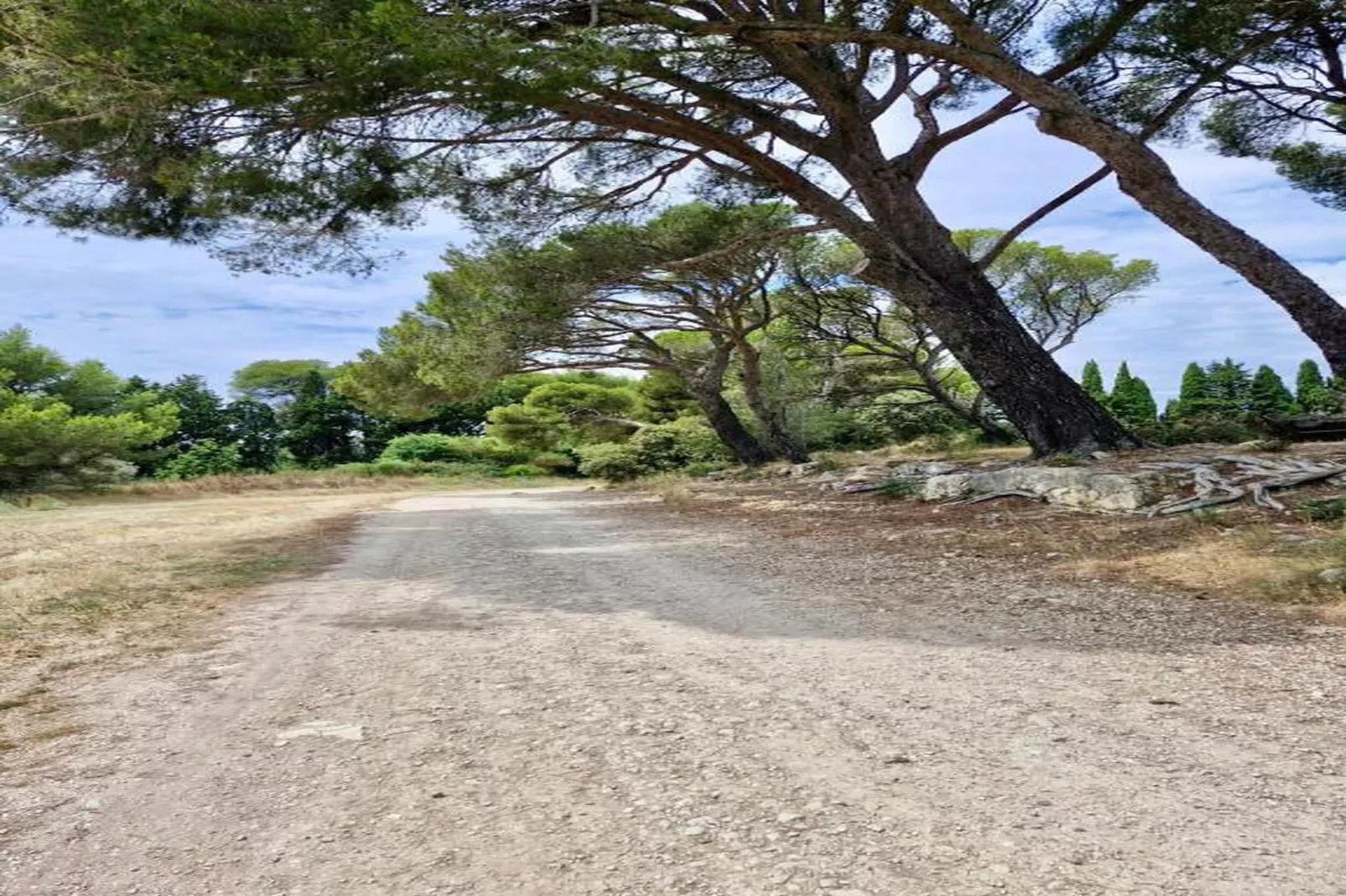 Résidence Le Mas des Alpilles 2-Gebieden zomer 20km