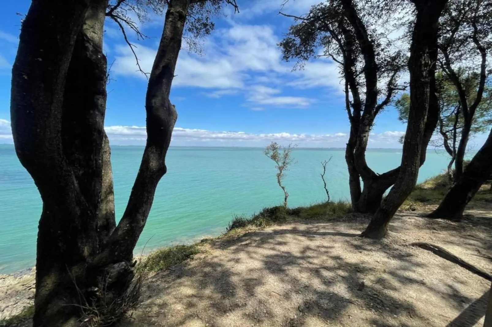 Les Terrasses de Fort Boyard 4-Gebieden zomer 1km